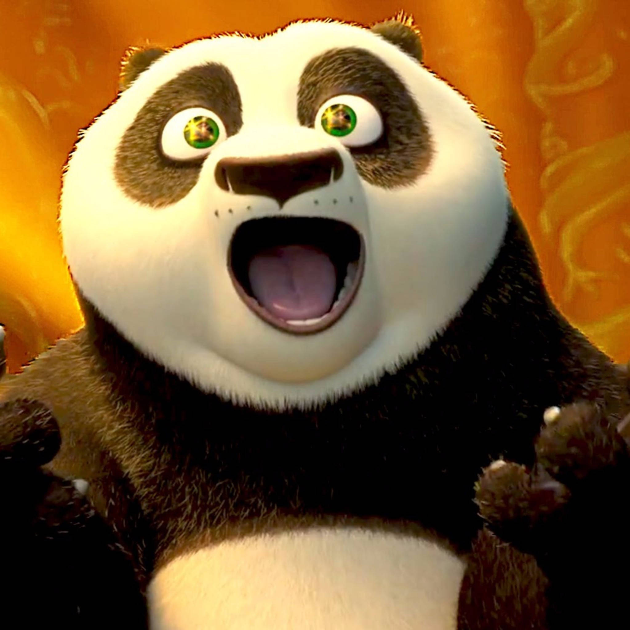 Kung Fu Panda Vui Vẻ và Hào Hứng Hình nền