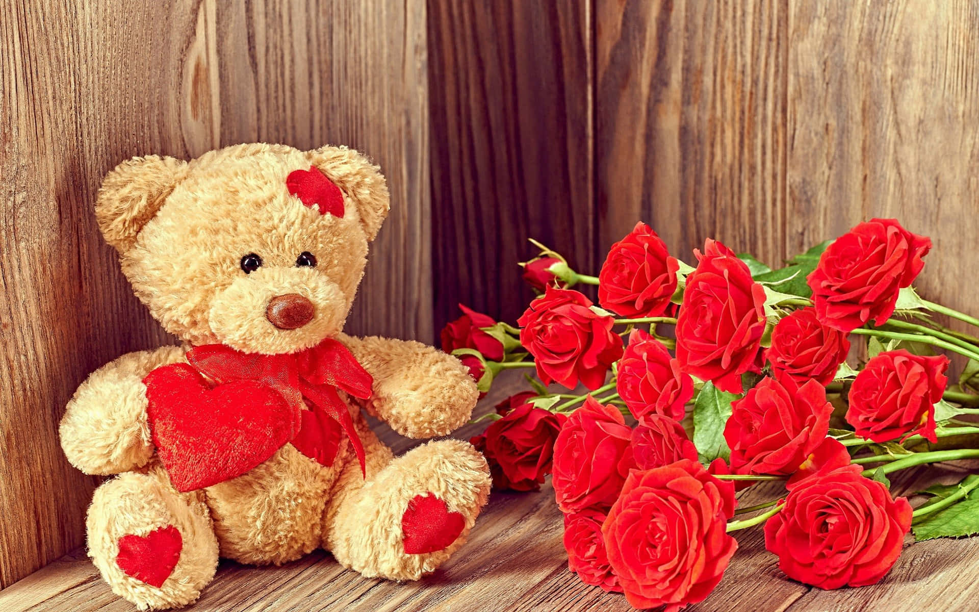 Kỷ niệm Ngày Lễ Tình Nhân với Tình Yêu và Sự Đáng Yêu! Hình nền