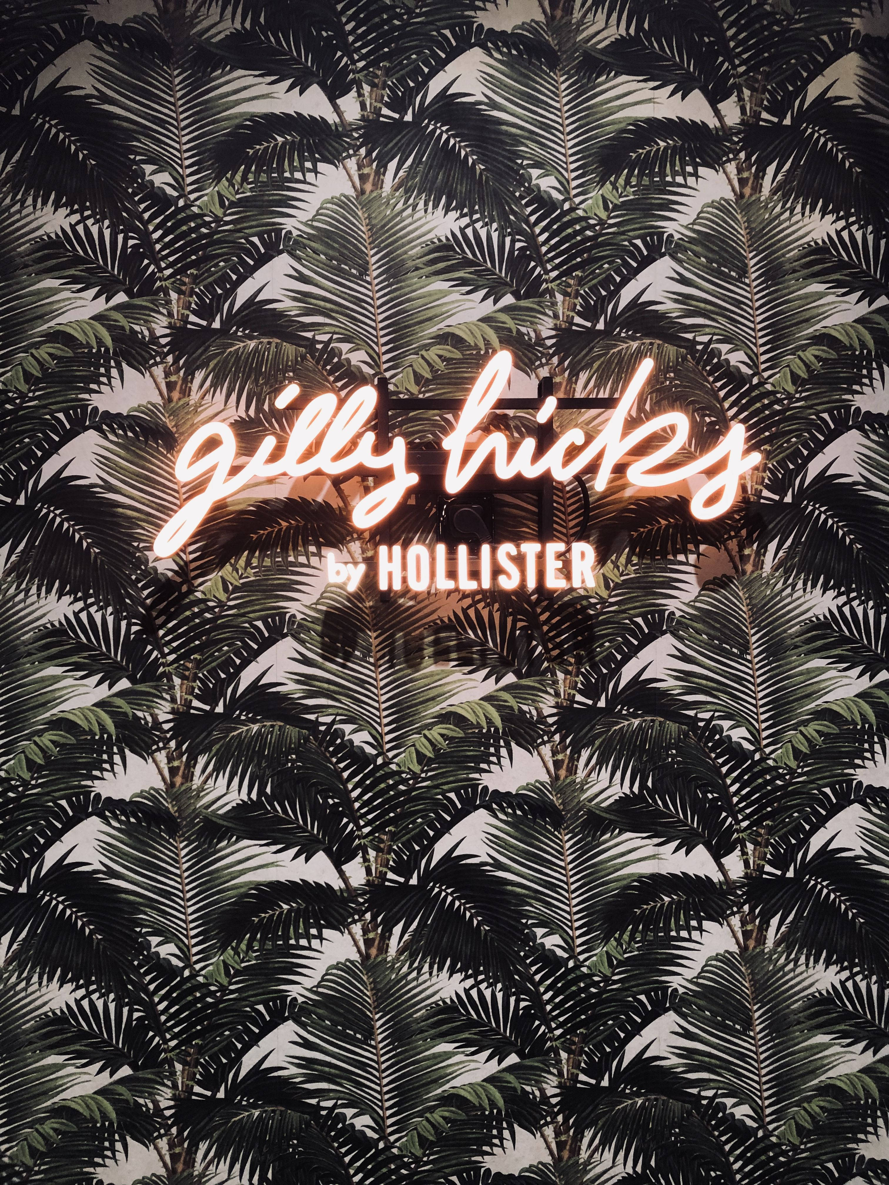Lá cọ Hollister Hình nền