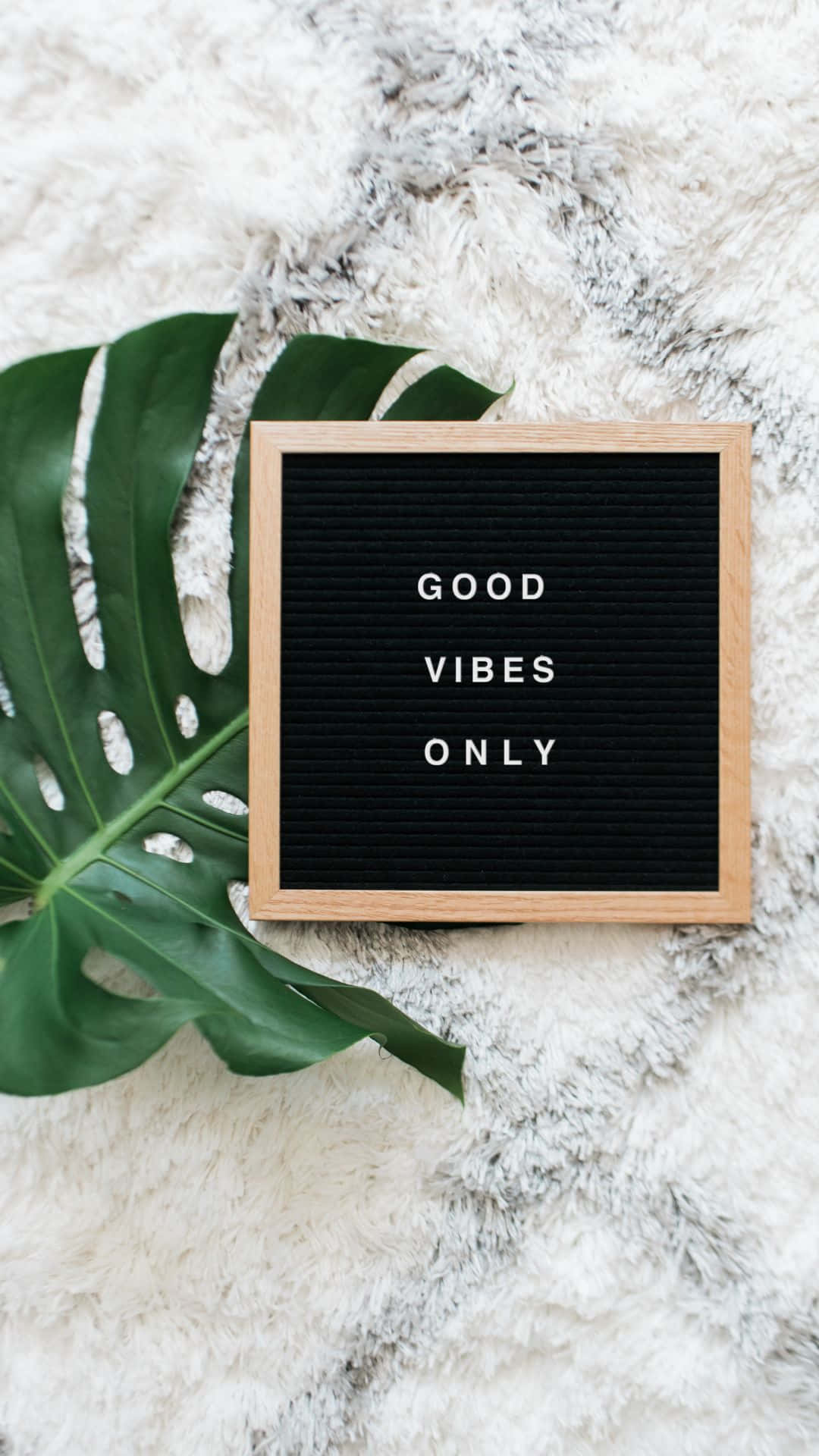Lá Monstera Good Vibes iPhone Hình nền