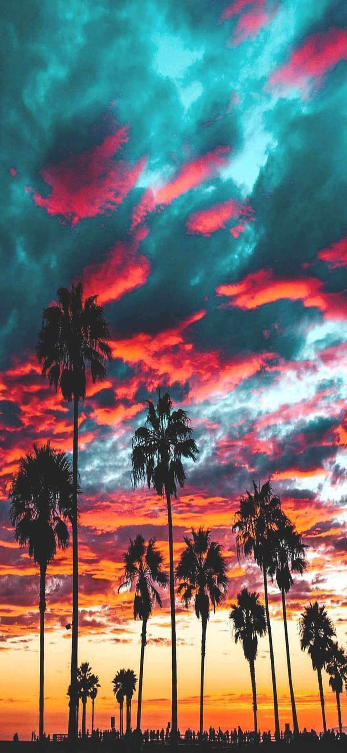 Lạc vào vẻ đẹp California ngay lập tức với iPhone X mới của bạn Hình nền