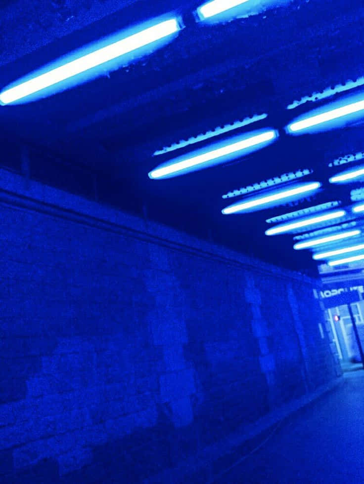 Làm bừng sáng ngày mới với phong cách Neon Xanh lam đầy màu sắc Hình nền