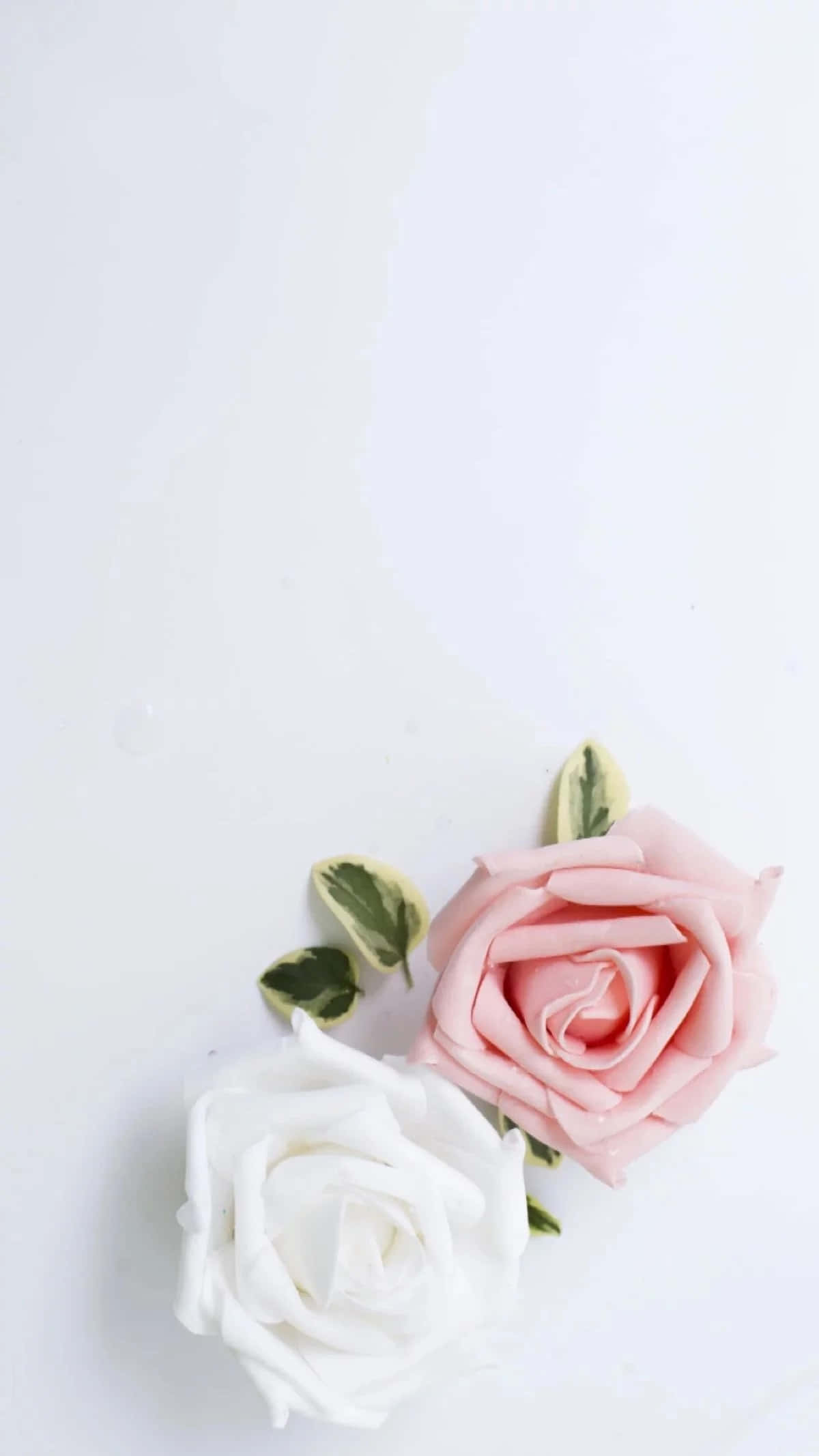 Làm mới tâm trí và phong cách với tông trắng thẩm mỹ Hình nền