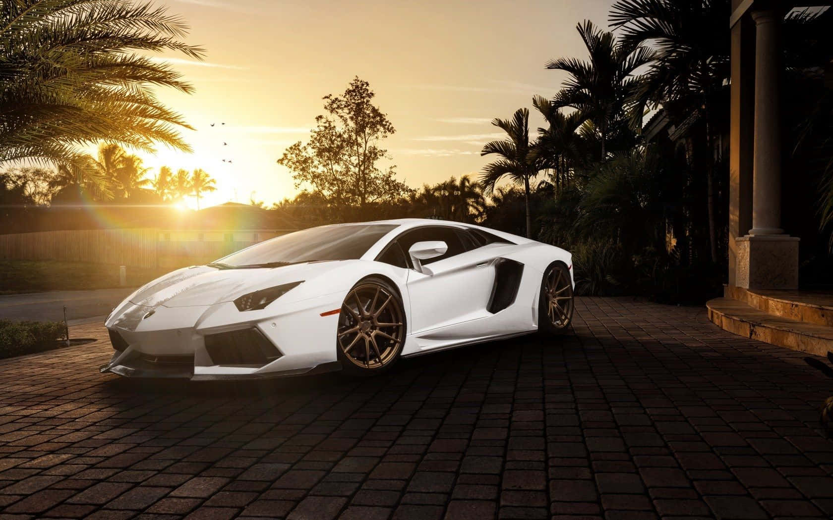 Lamborghini Aventador Trắng Mát Lúc Hoàng Hôn Hình nền