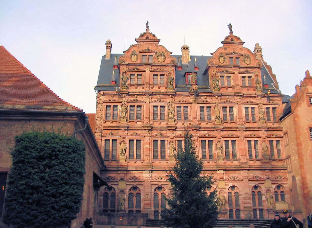 Lâu đài Heidelberg góc nhìn từ dưới lên Hình nền