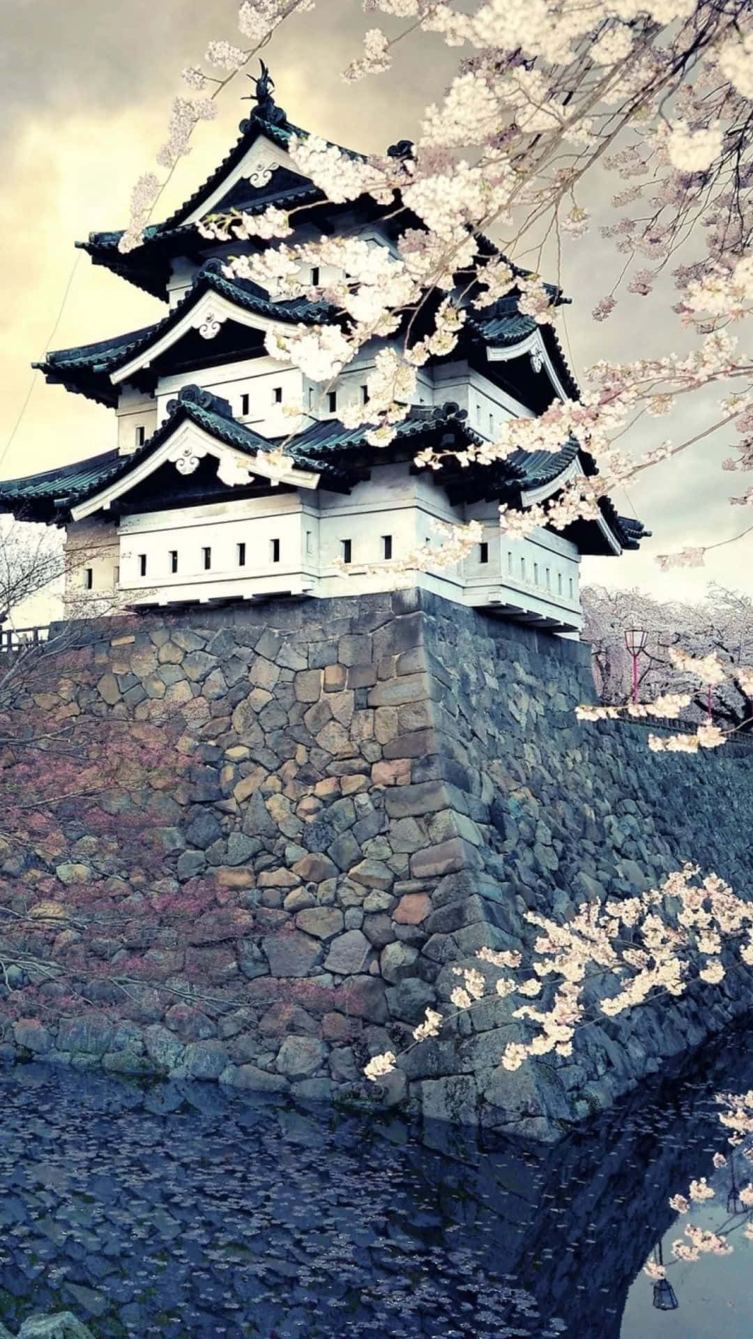 Lâu đài Hirosaki iPhone Nhật Bản Hình nền