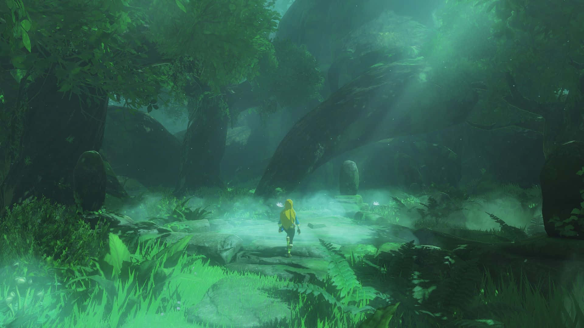 Link trong hành trình khắp thế giới The Legend of Zelda Hình nền