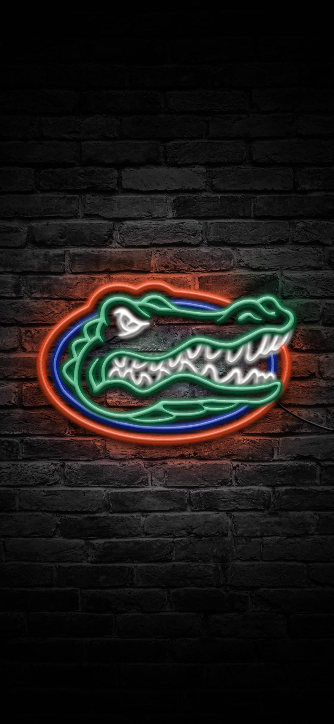 Logo Florida Gators Trong Đèn Neon Hình nền