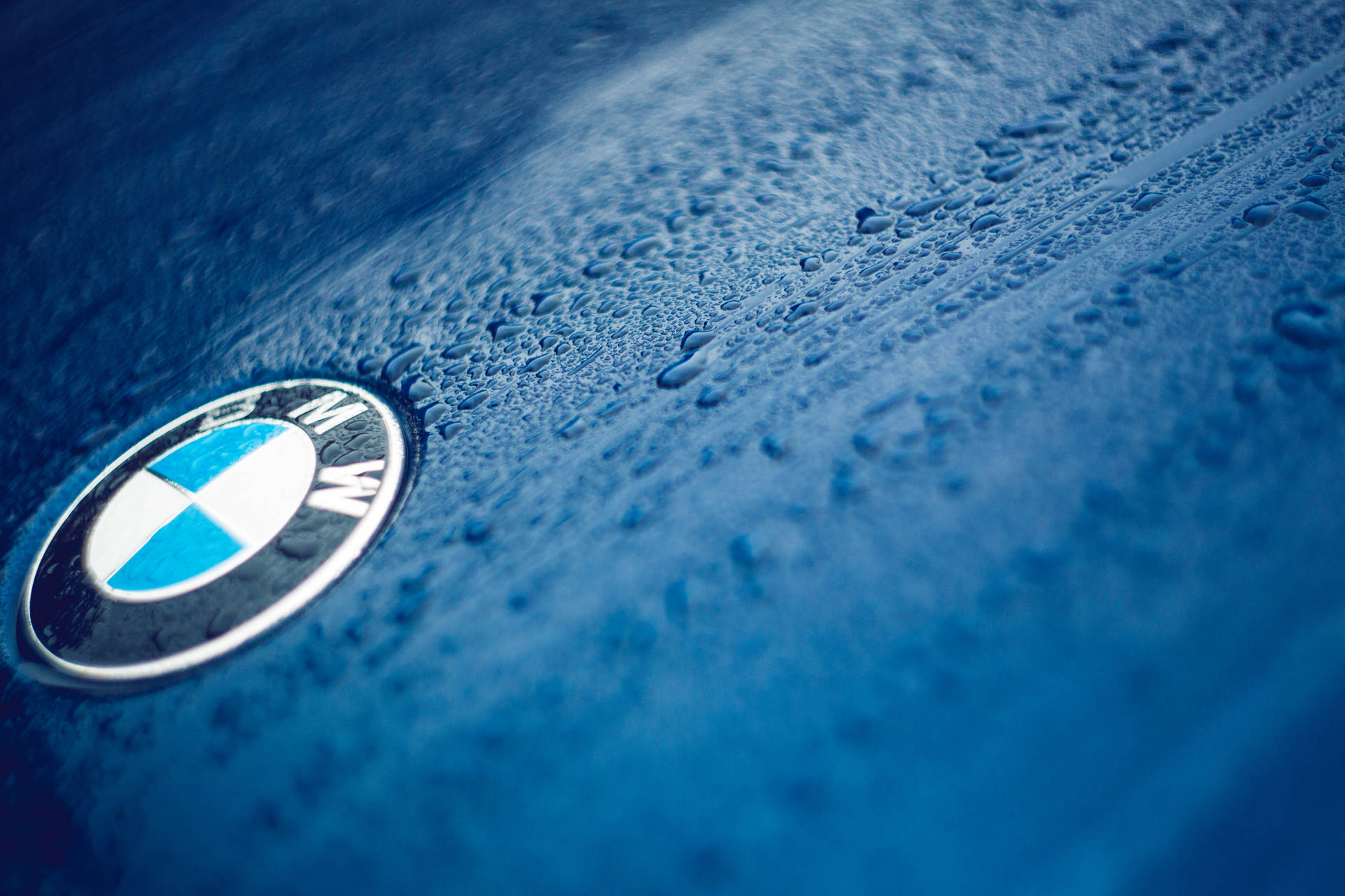 Hình nền cận cảnh logo BMW trên xe màu xanh với những giọt nước