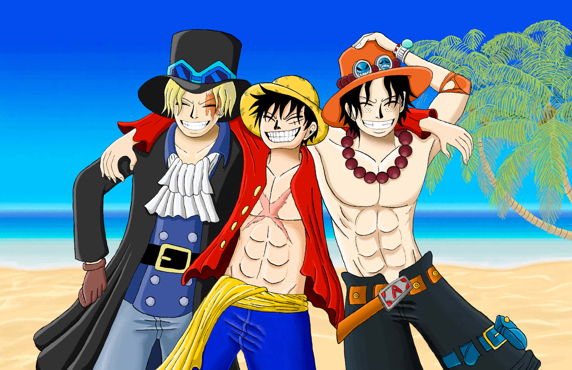 Luffy chiến đấu với Doflamingo Hình nền