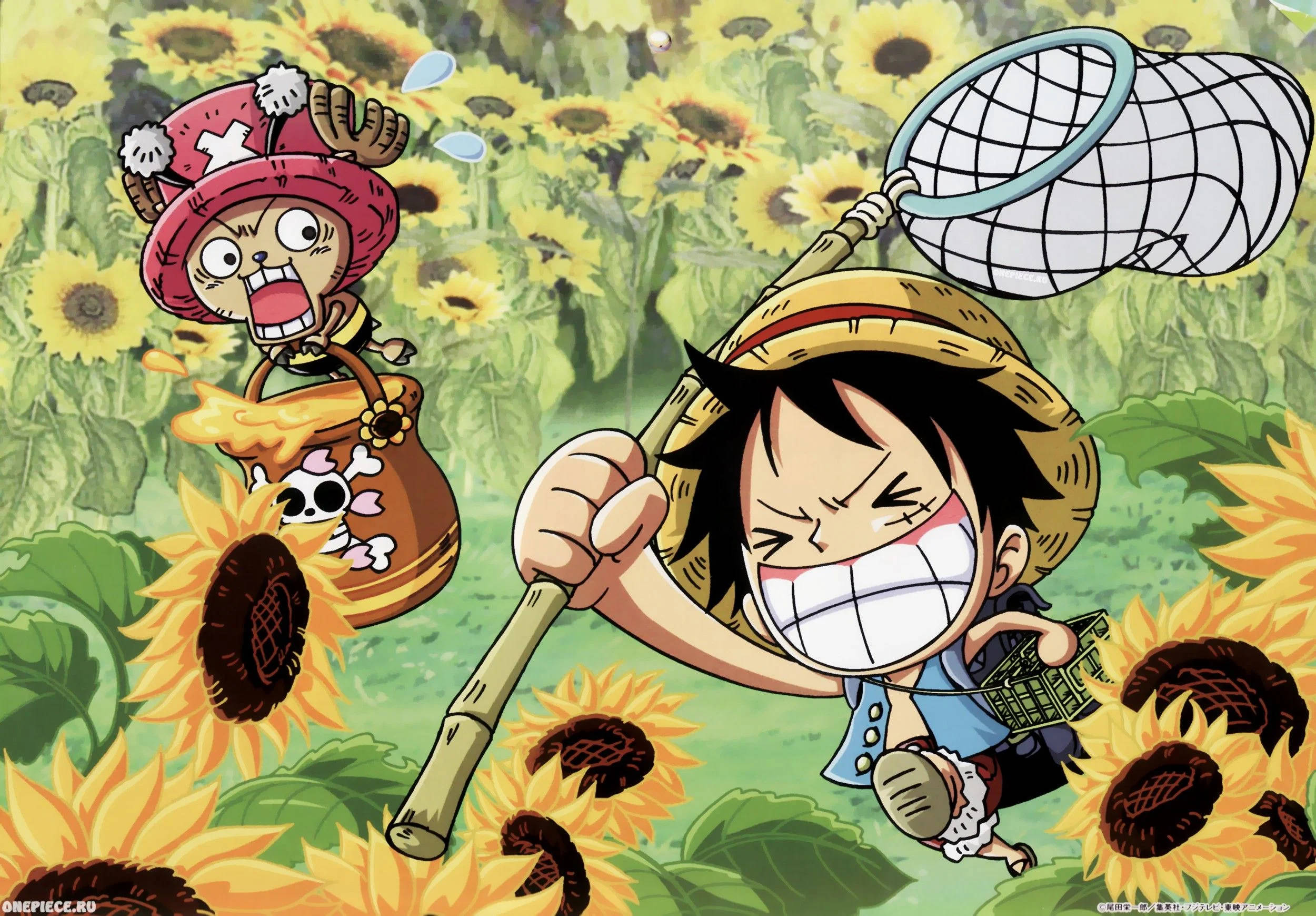Luffy và Chopper Hài Hước Anime Hình nền