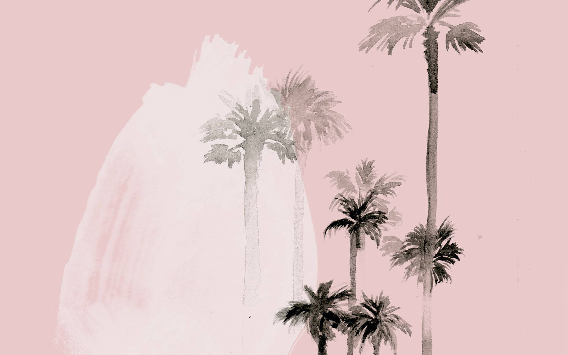 Mac nền Cây Cọ California Sơn Màu Thẩm Mỹ Hình nền