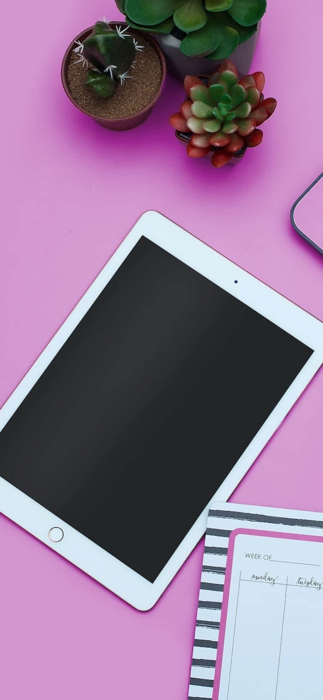 Màn hình nền iPhone X với bàn màu hồng và iPad Hình nền