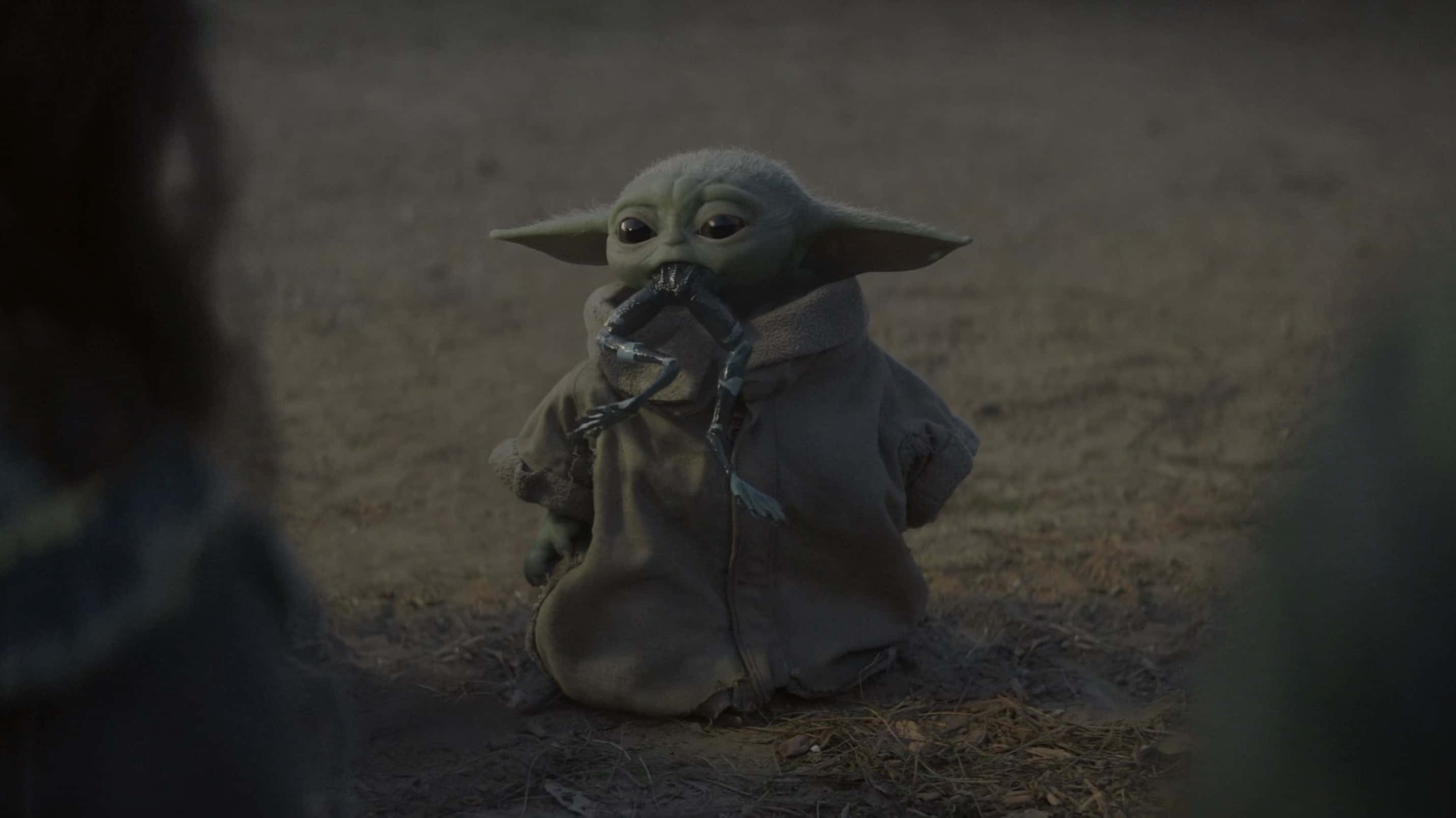 Mandalorian Yoda cắn chân ếch Hình nền