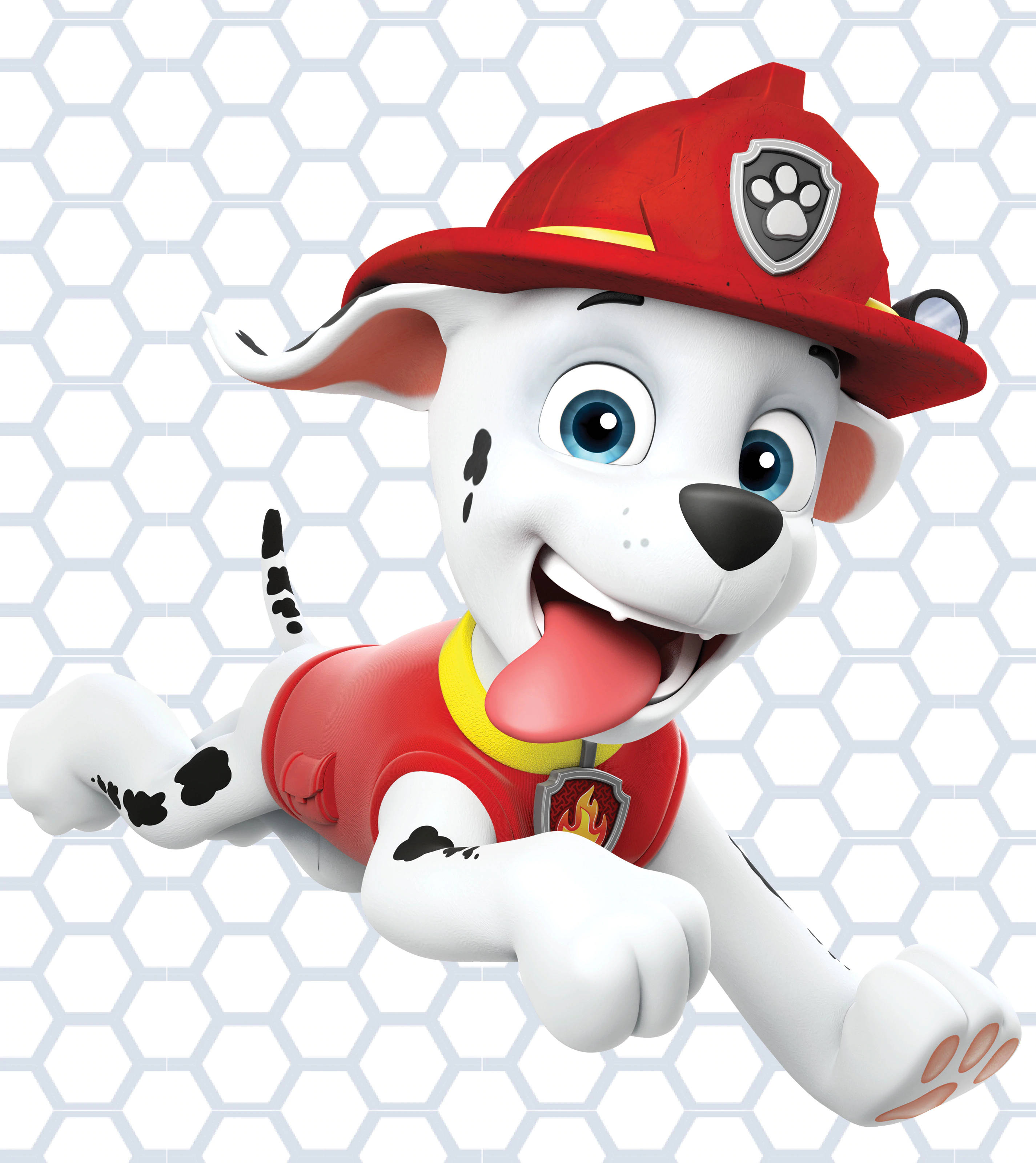 Marshall Paw Patrol Hình nền