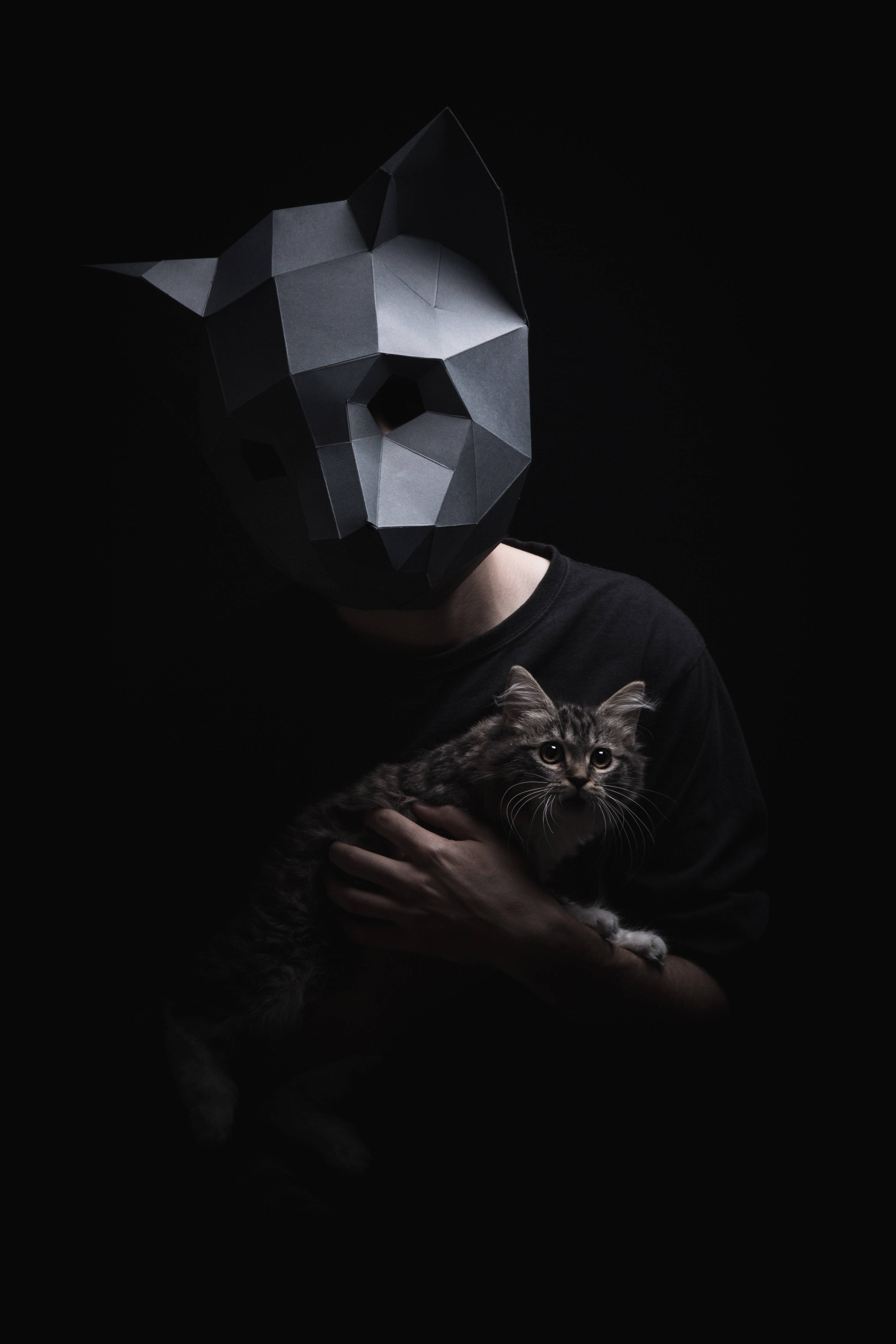 Mặt nạ mèo low-poly 3D vui nhộn và độc đáo Hình nền