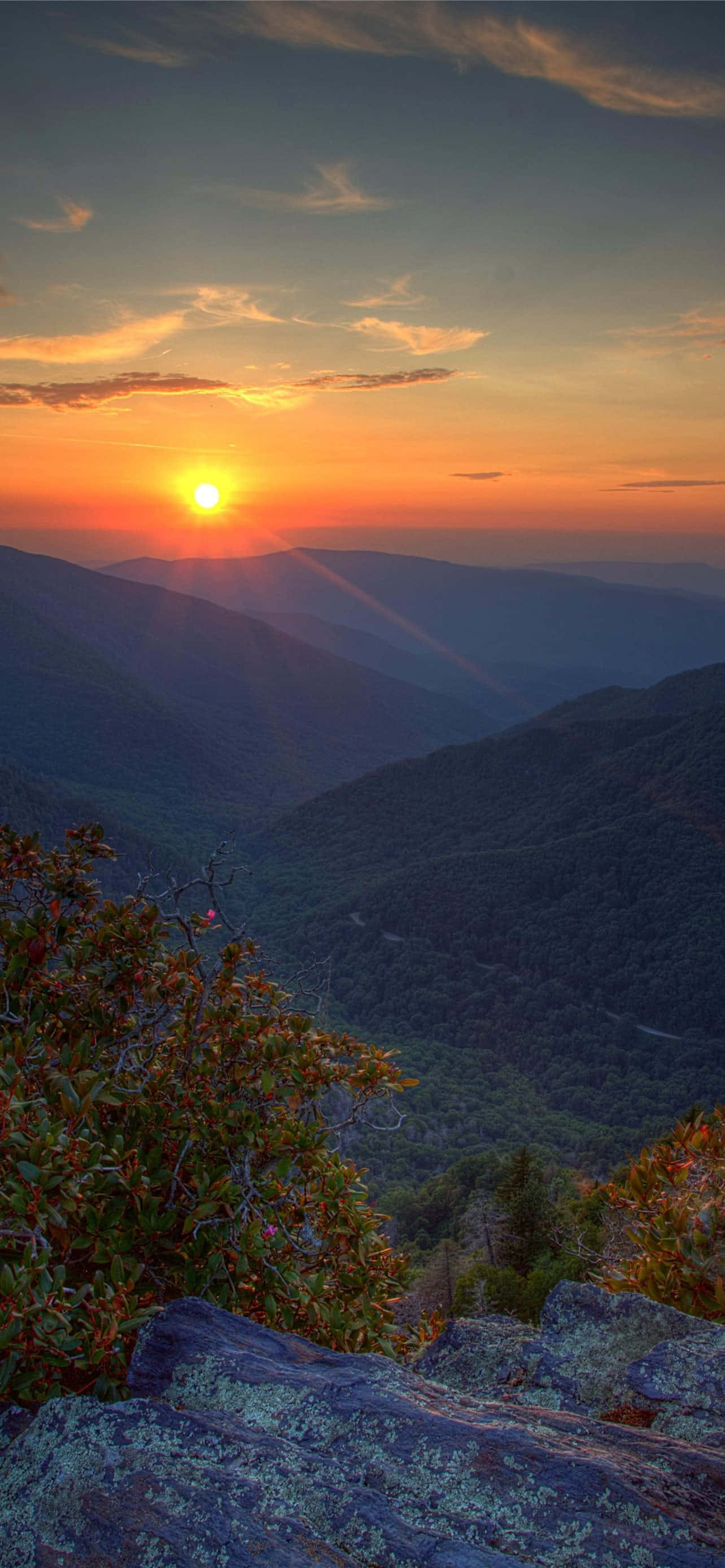 Mặt Trời Vàng Vườn Quốc Gia Great Smoky Mountains Hình nền