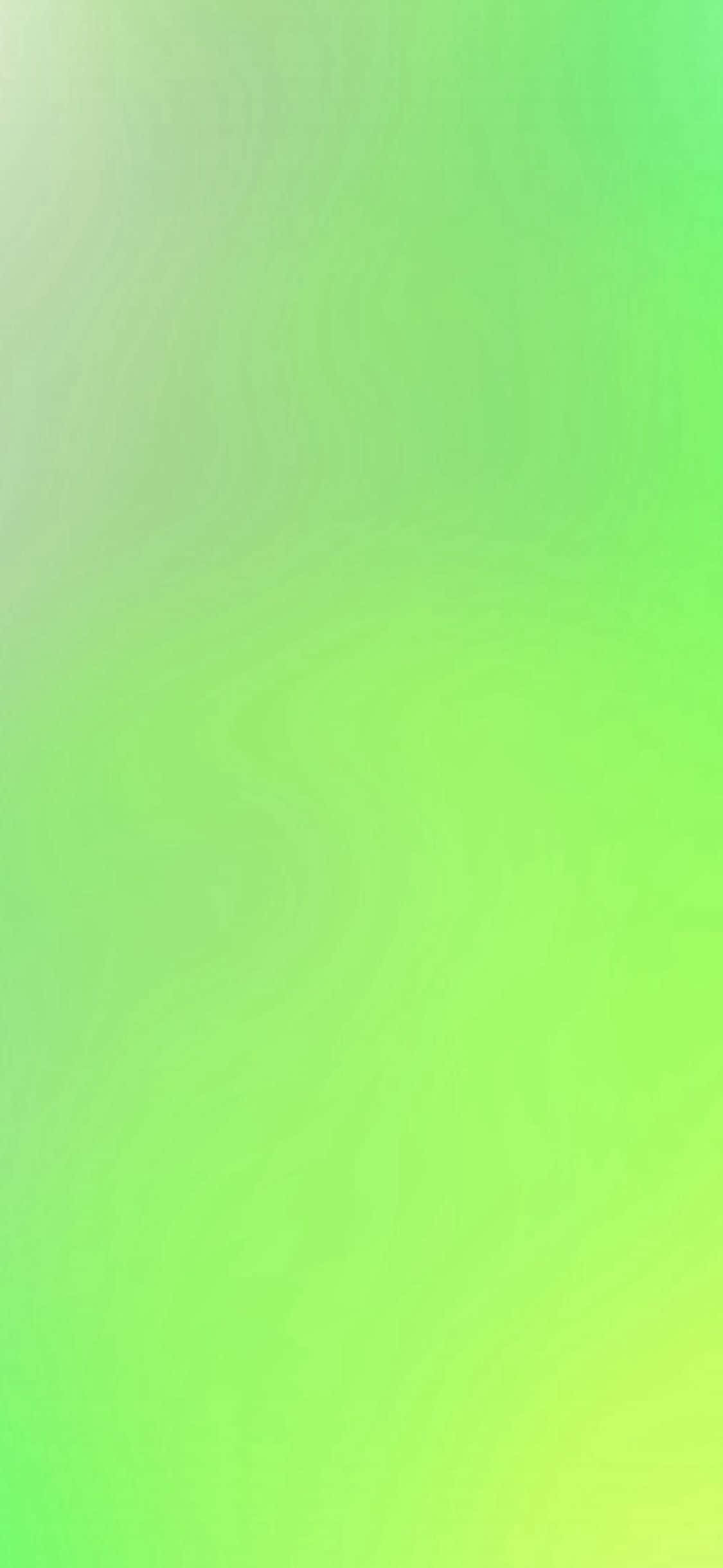 Màu Xanh Tươi Mát iPhone 11 Hình nền