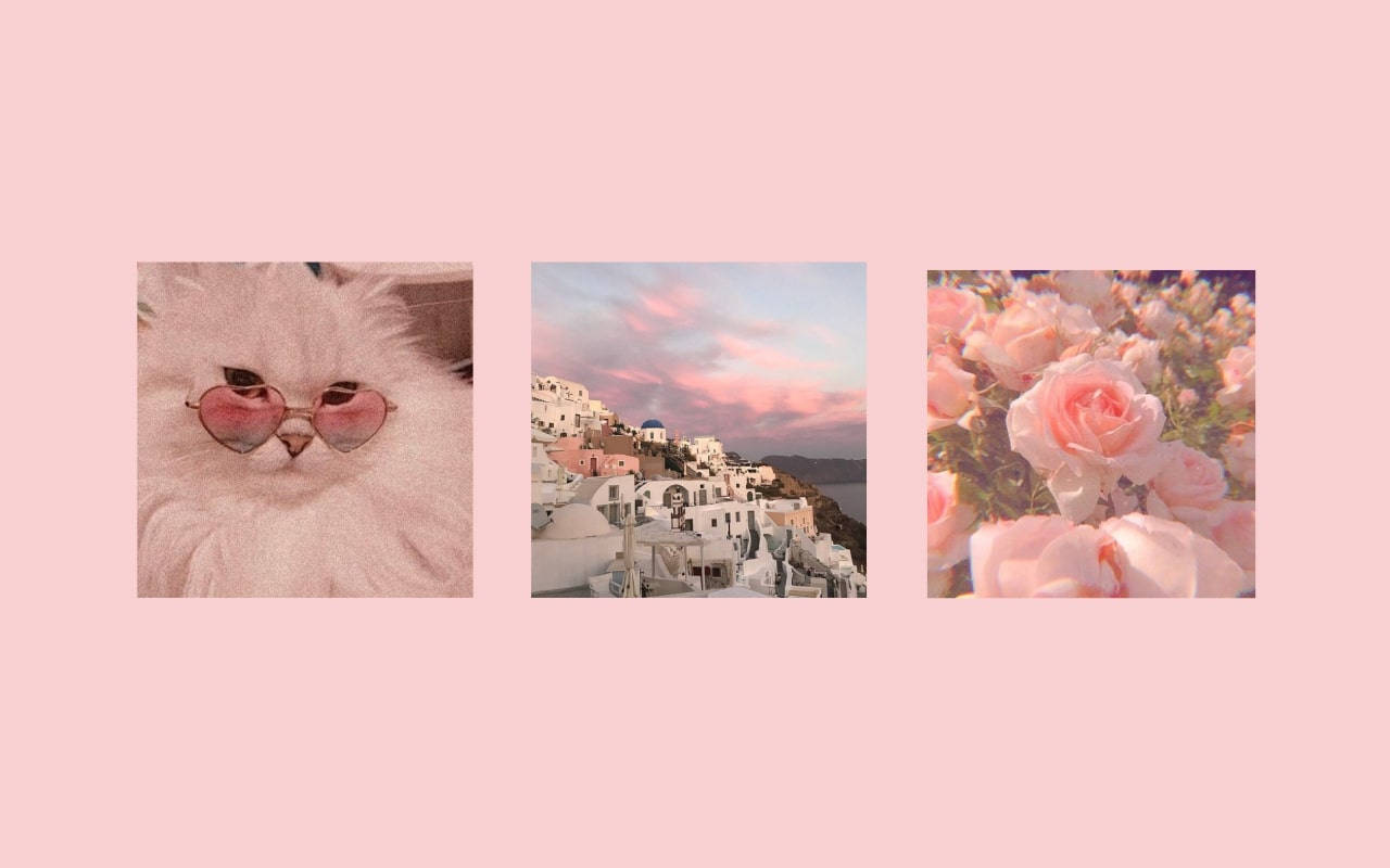 Hình nền máy tính xách tay màu hồng duyên dáng phong cách Pinterest — Hồng aesthetic GIF Hình nền