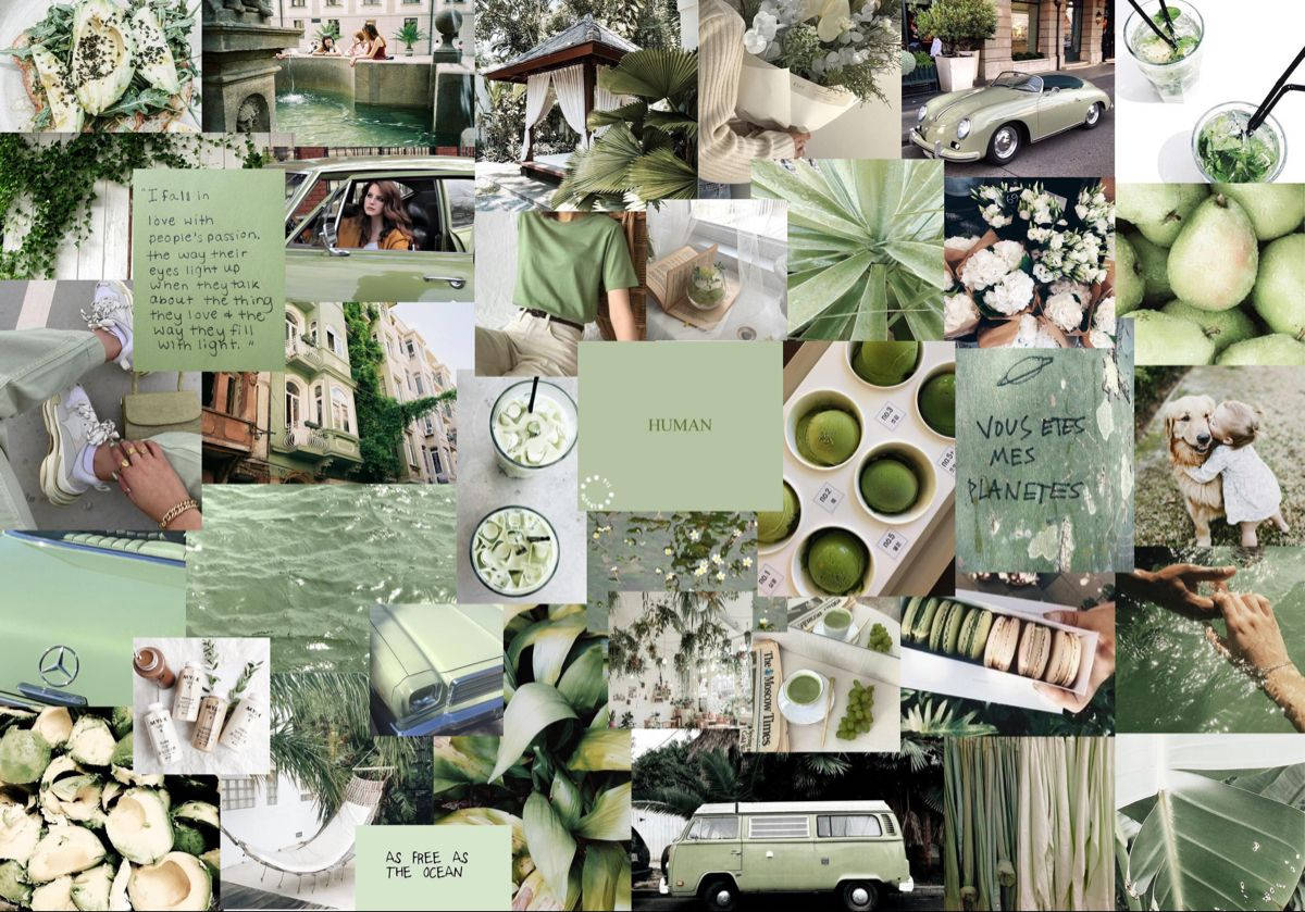 Máy tính xách tay phong cách Matcha Xanh Hình nền