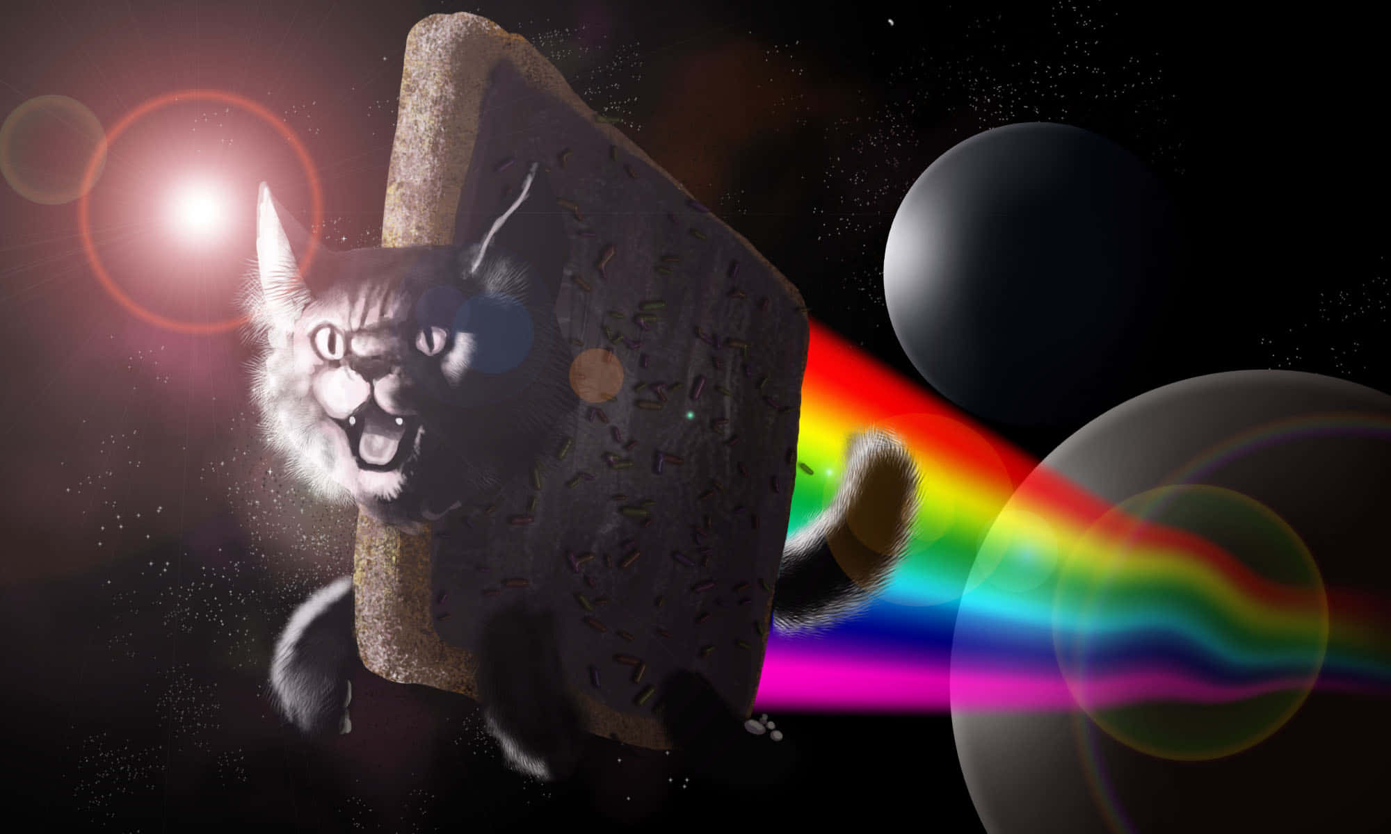 Máy Tính Xách Tay Nyan Cat Bay Meme Hình nền