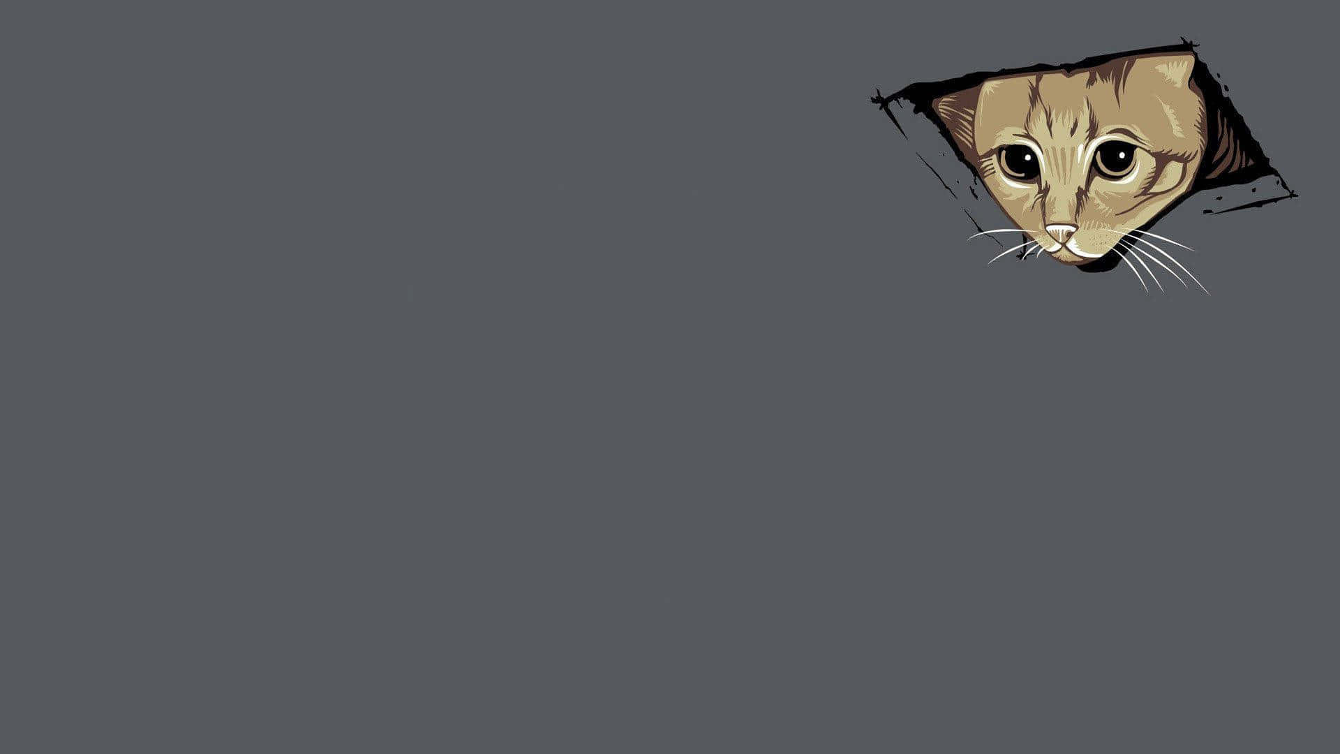 Meme Mèo Nhìn Xuyên Laptop Hình nền