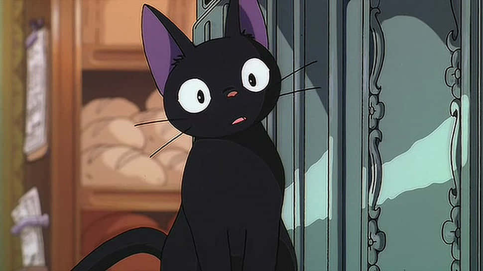 Mèo Anime mắt xanh tận hưởng hoàng hôn Hình nền