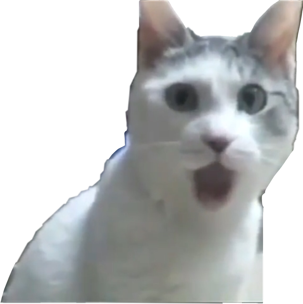 Mèo Bất Ngờ Meme Hình nền