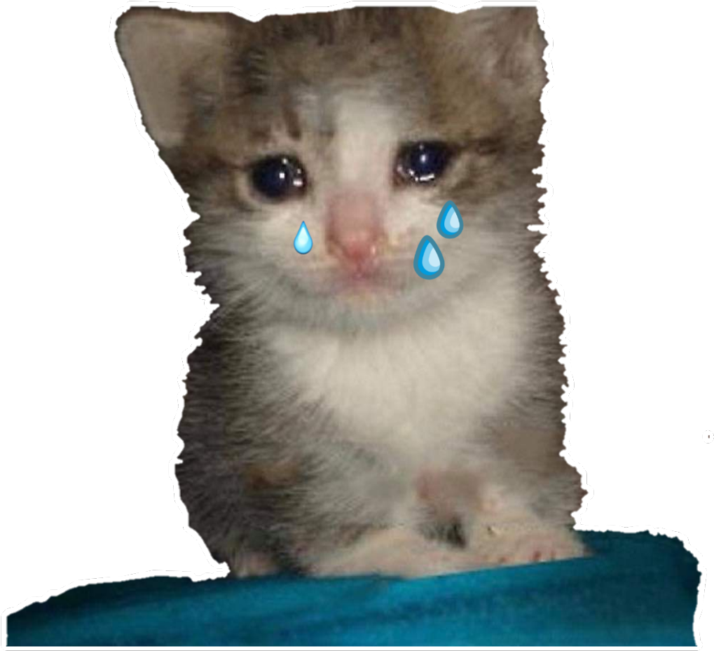 Mèo con khóc meme.PNG Hình nền
