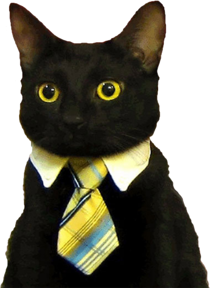 Mèo Công Sở Mặc Vest_Meme.PNG Hình nền