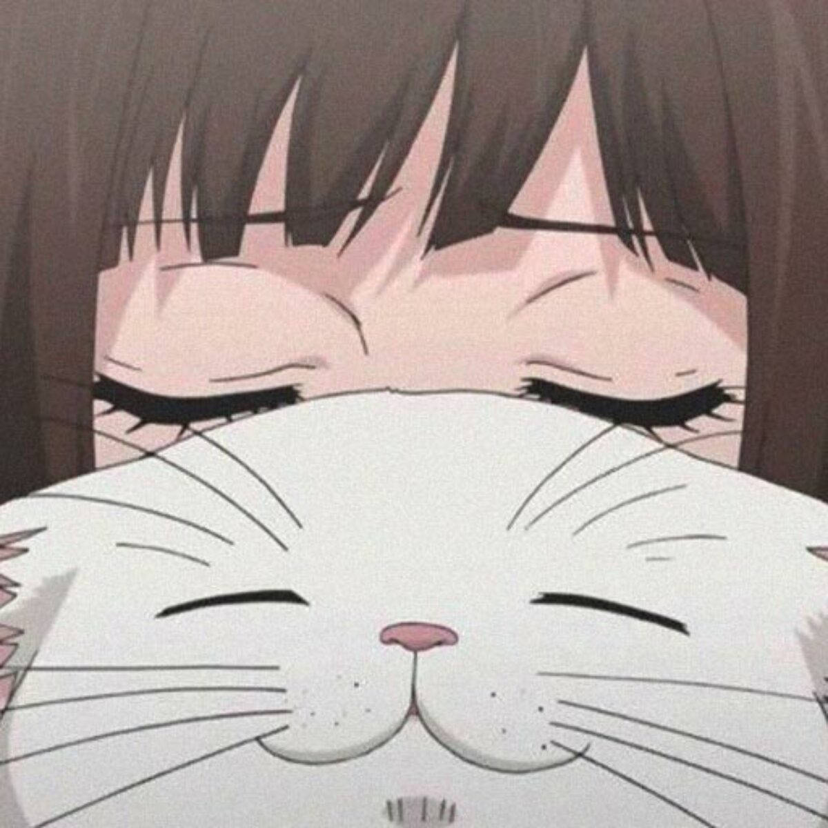 Mèo Dễ Thương Làm Ảnh Đại Diện Cùng Cô Gái Anime Hình nền