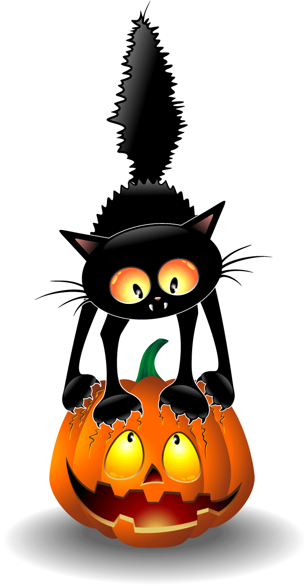 Mèo đen Halloween và Jack O Lantern Hình nền