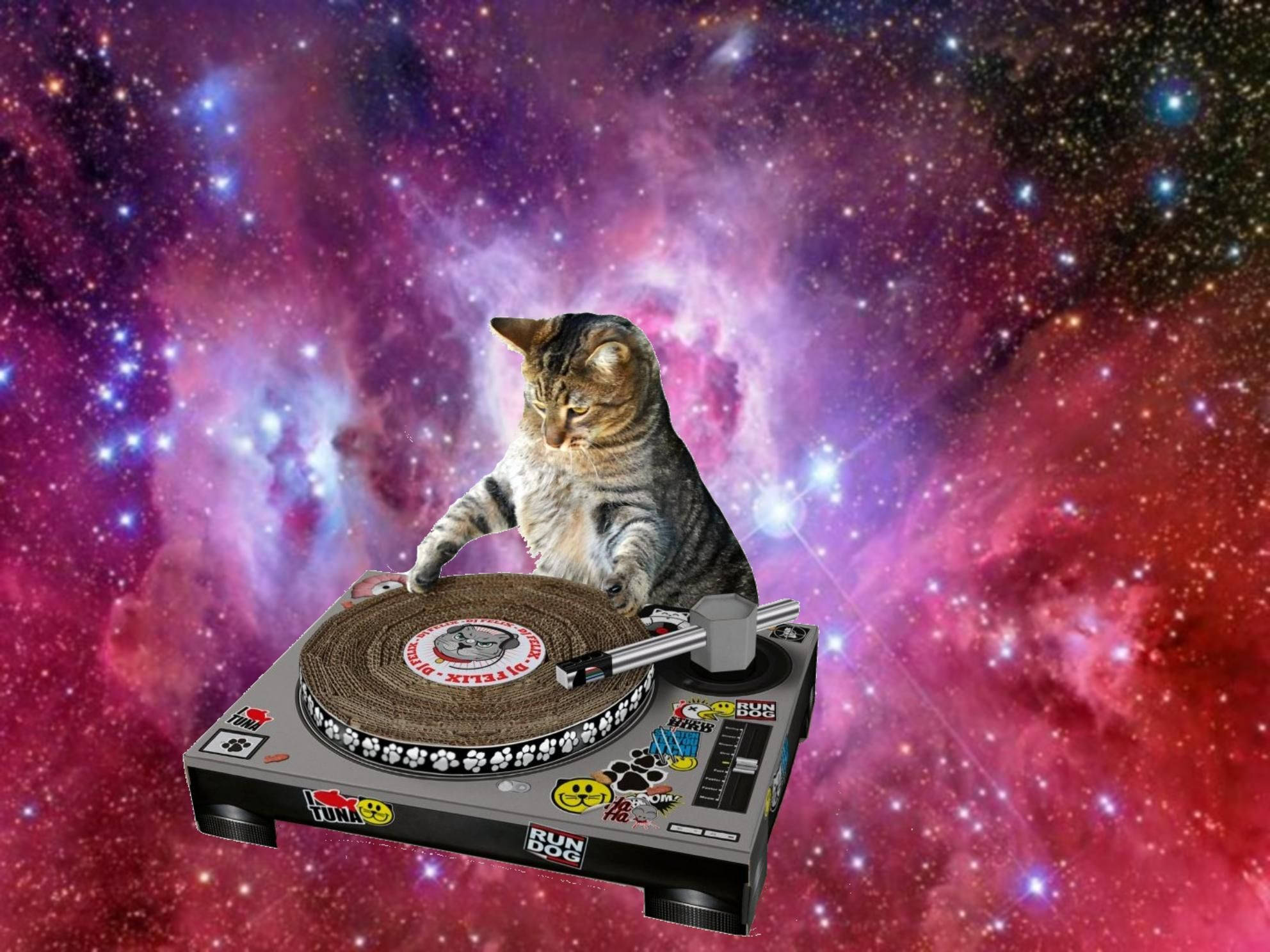 Mèo Hài DJ Chơi Nhạc Trong Không Gian Hình nền