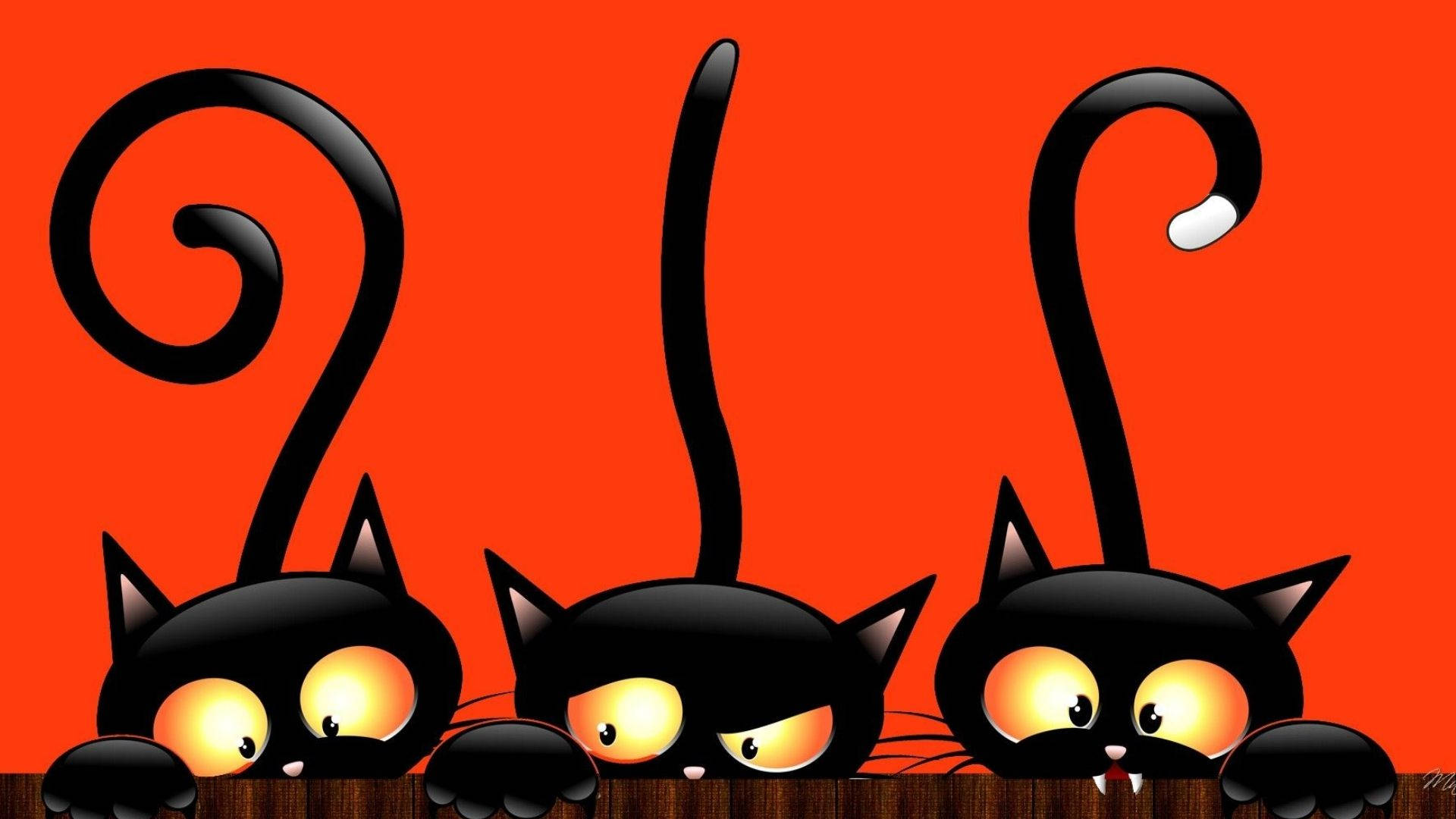 Mèo Halloween Hoạt Hình Đang Nhìn Ra Hình nền