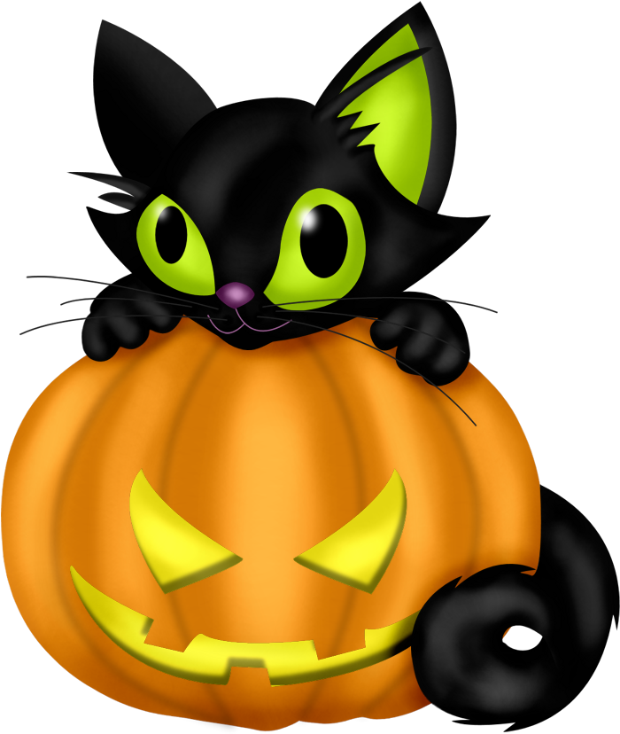 Mèo Halloween trên quả bí ngô Hình nền