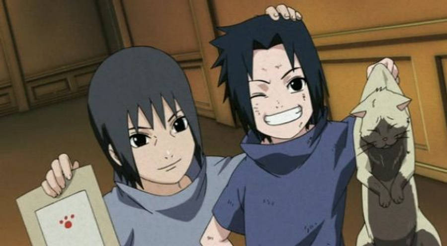 Mèo Naruto Itachi Uchiha 4K Hình nền