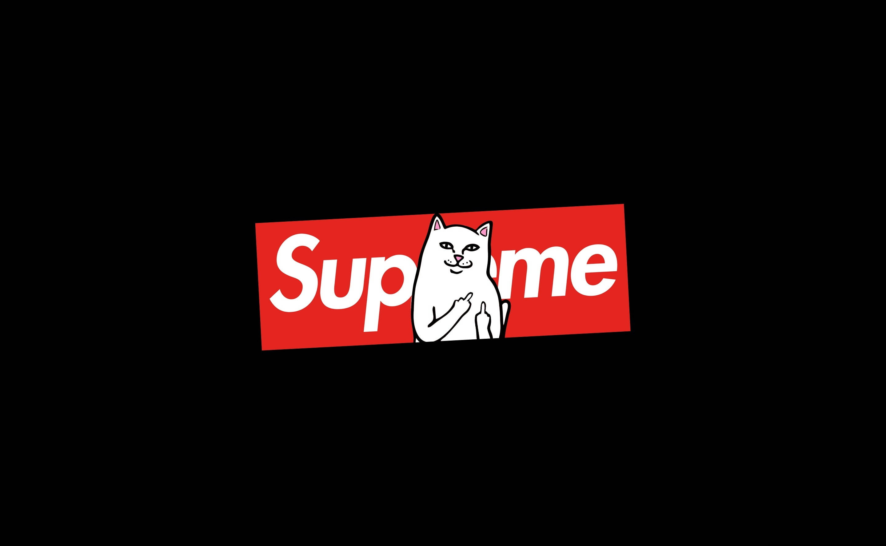 Mèo Ngồi Trên Laptop Supreme Hình nền