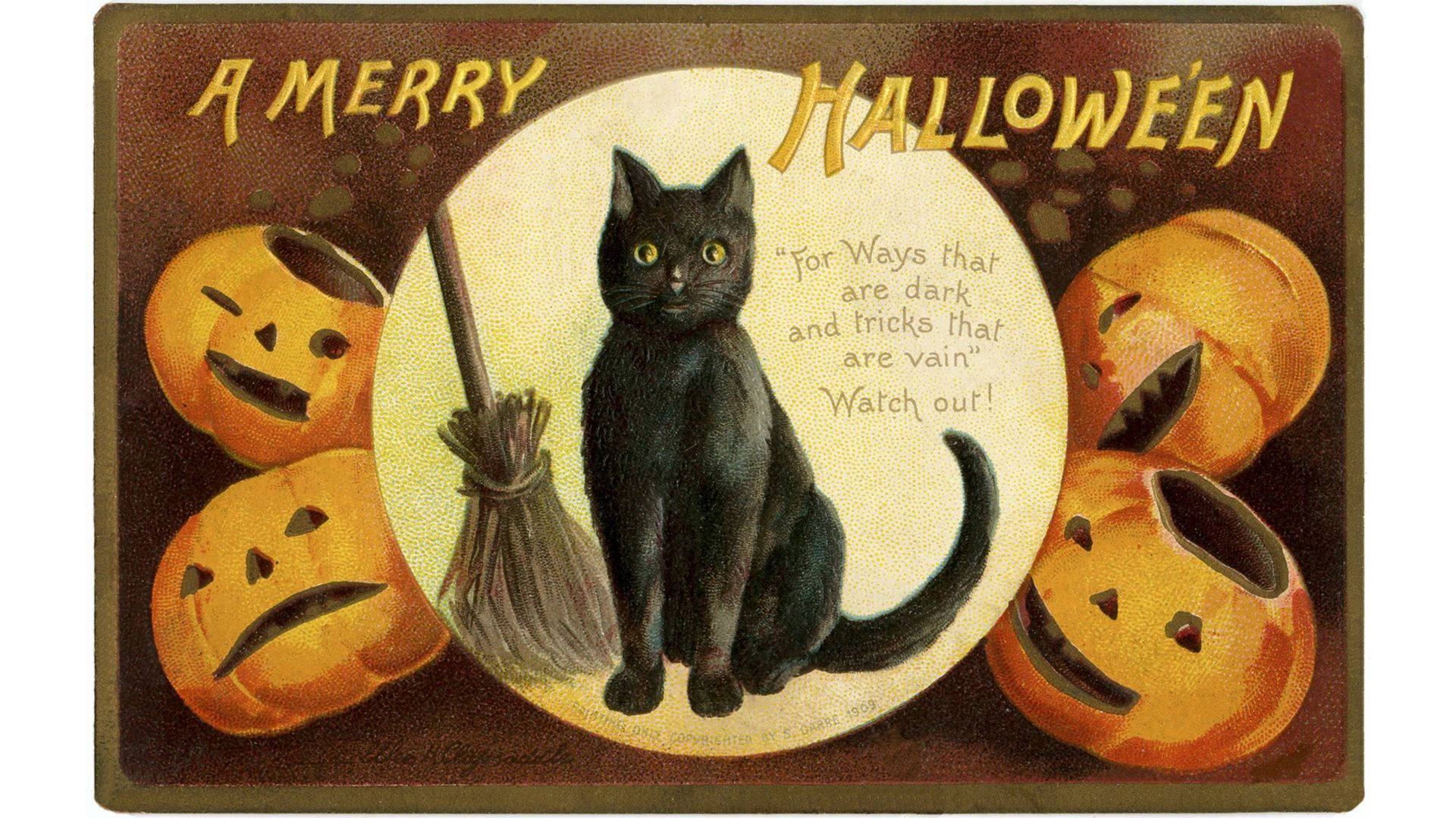 Mèo phù thủy Halloween cổ điển Hình nền