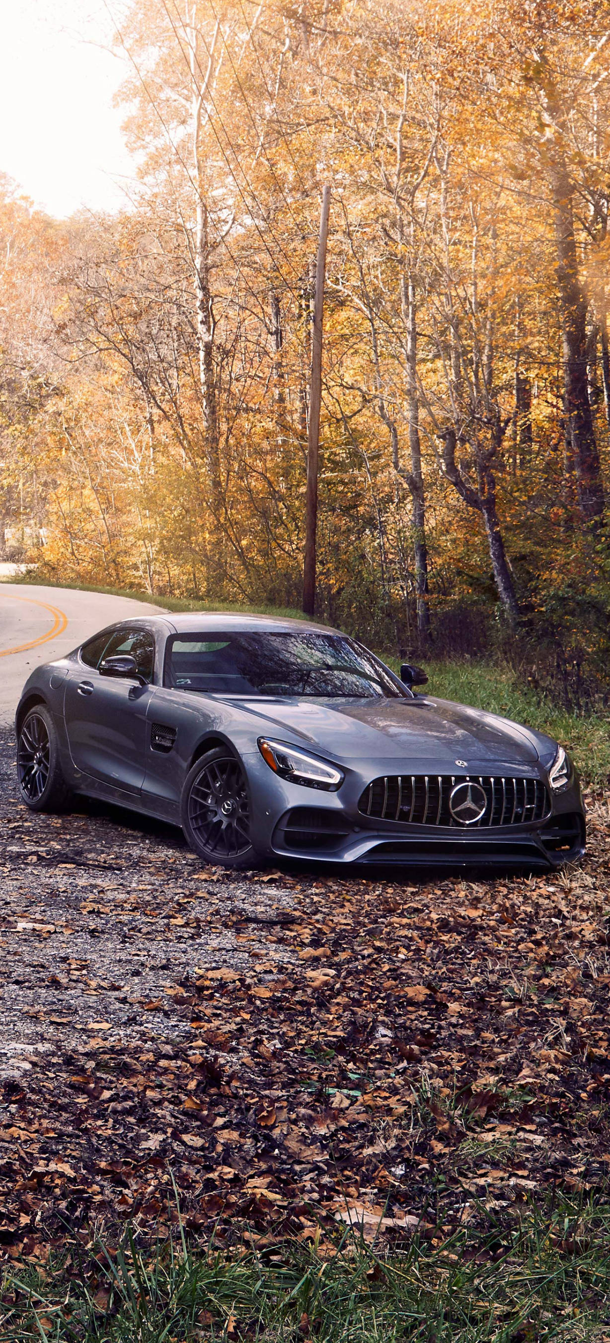 Mercedes AMG Autumn Trees iPhone Hình nền