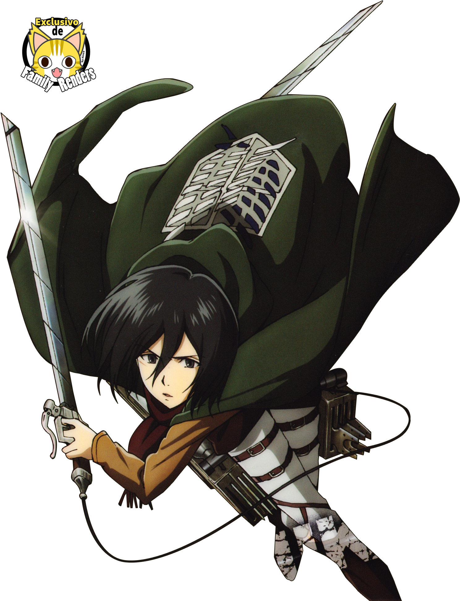 Mikasa Ackerman tư thế hành động Hình nền