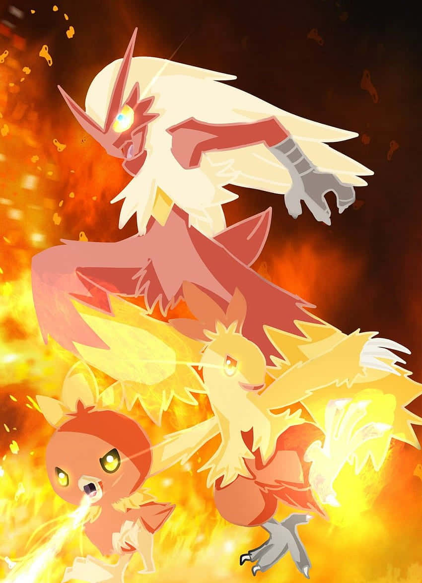 Minh họa các giai đoạn tiến hóa của Pokemon Torchic Hình nền