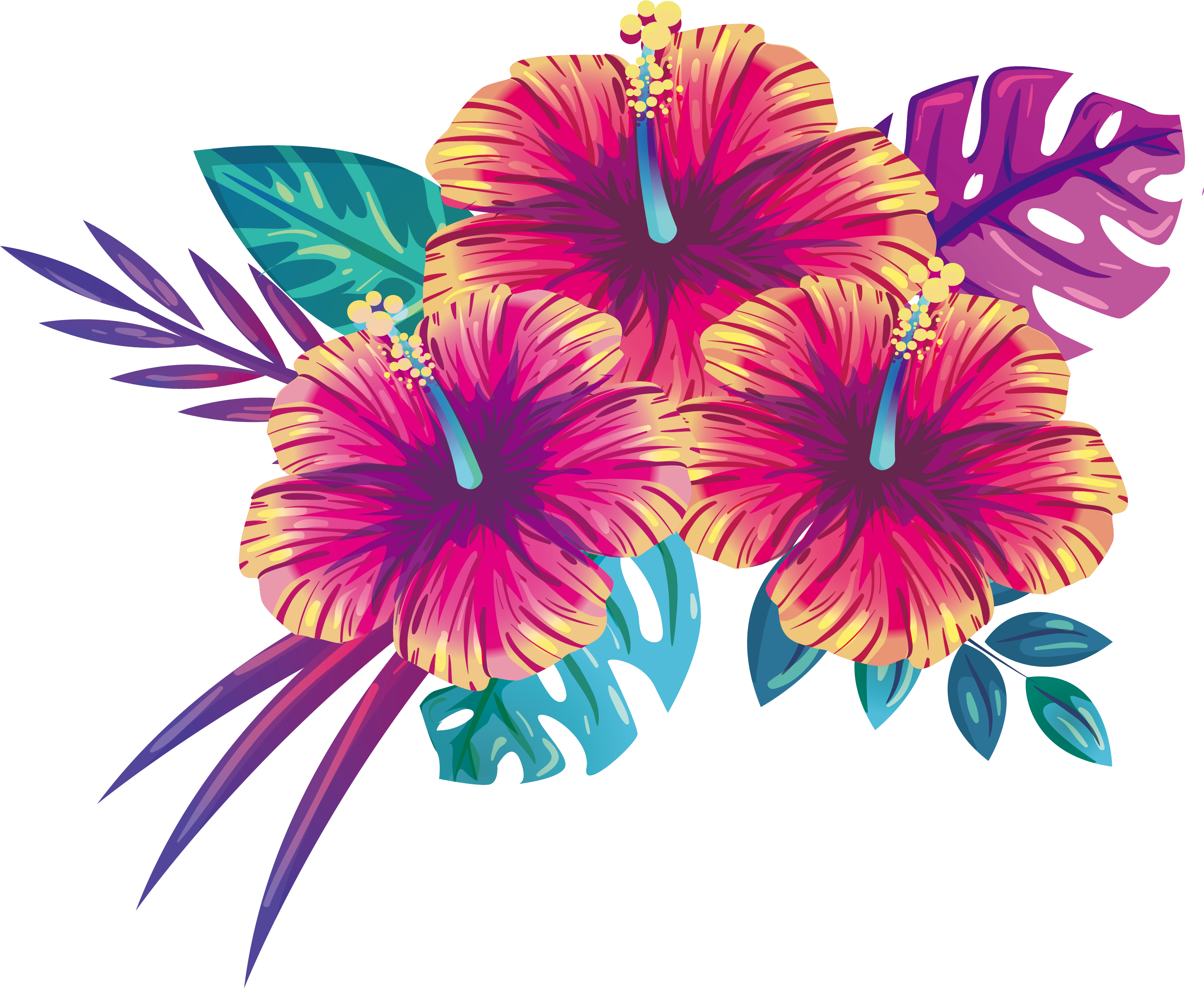 Minh họa hoa dâm bụt nhiệt đới Hình nền