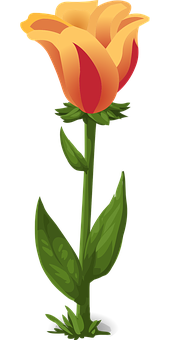 Minh họa Vector Hoa Tulip Màu Cam Vàng Hình nền