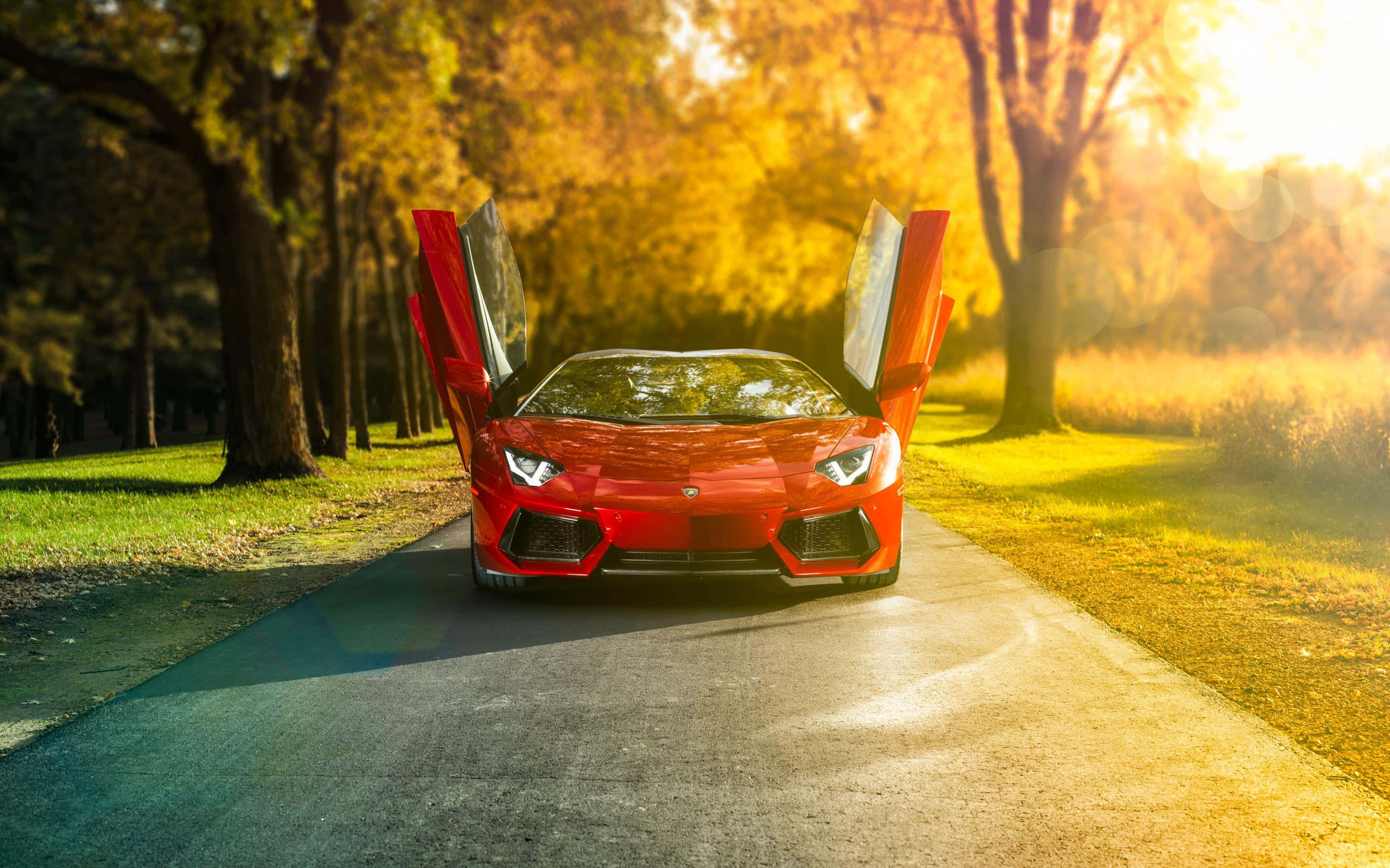 Mở Cửa Lamborghini Aventador Hình nền