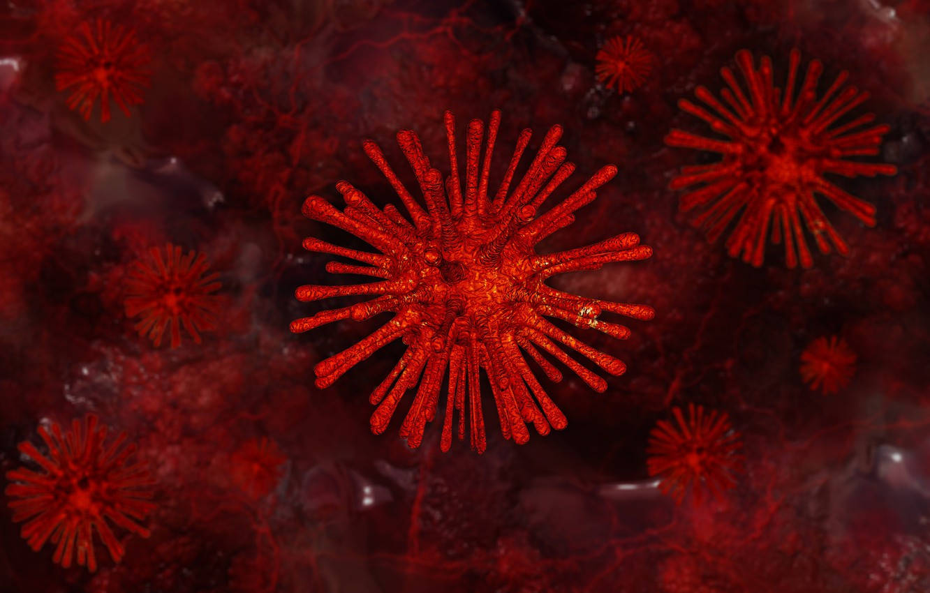 Mô hình virus Corona pháo hoa vụn đỏ Hình nền