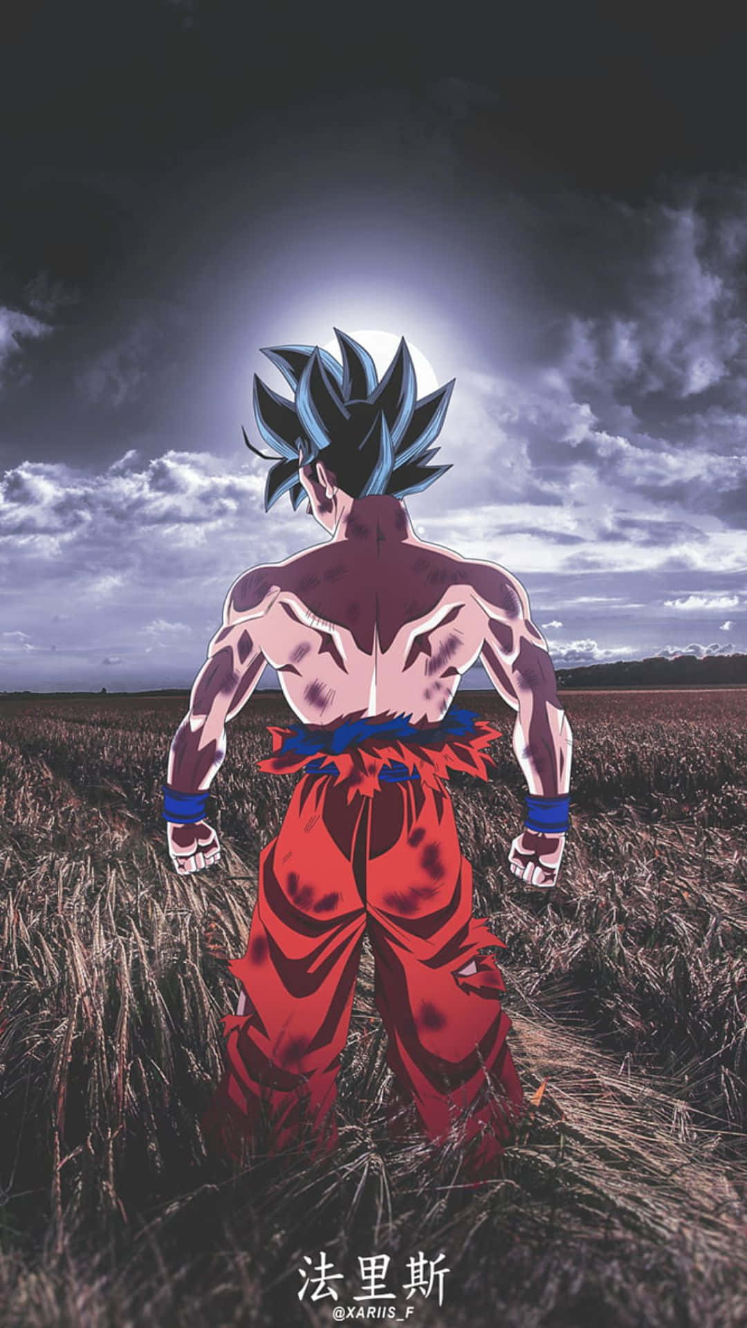 Mở khóa sức mạnh vô hạn cùng Goku Tự Tại Cực Ý Hình nền