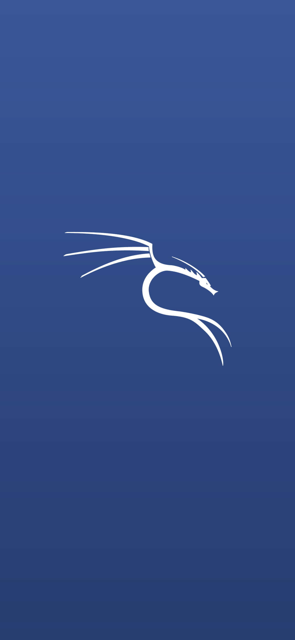 Môi trường Kali Linux Matrix Hình nền