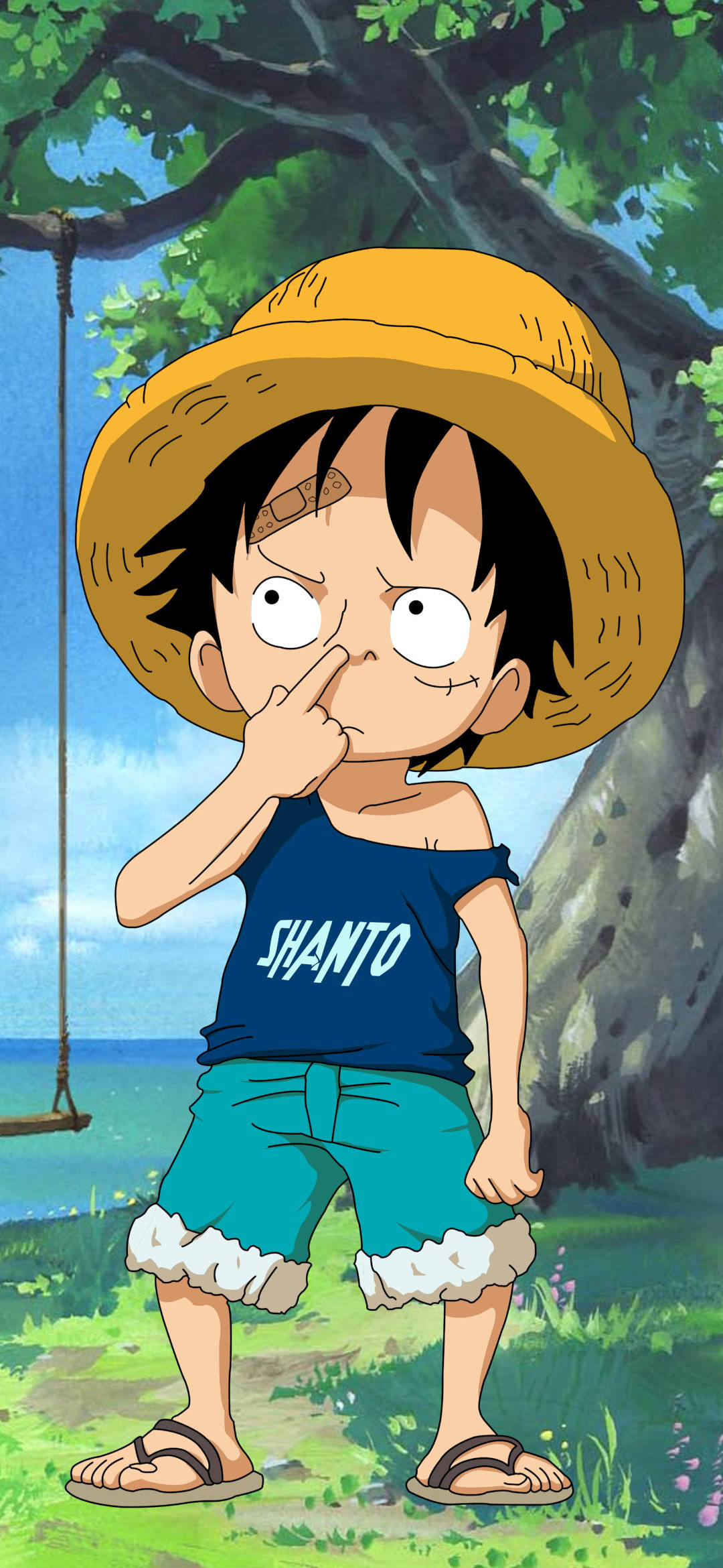 Monkey D Luffy nhí Hình nền