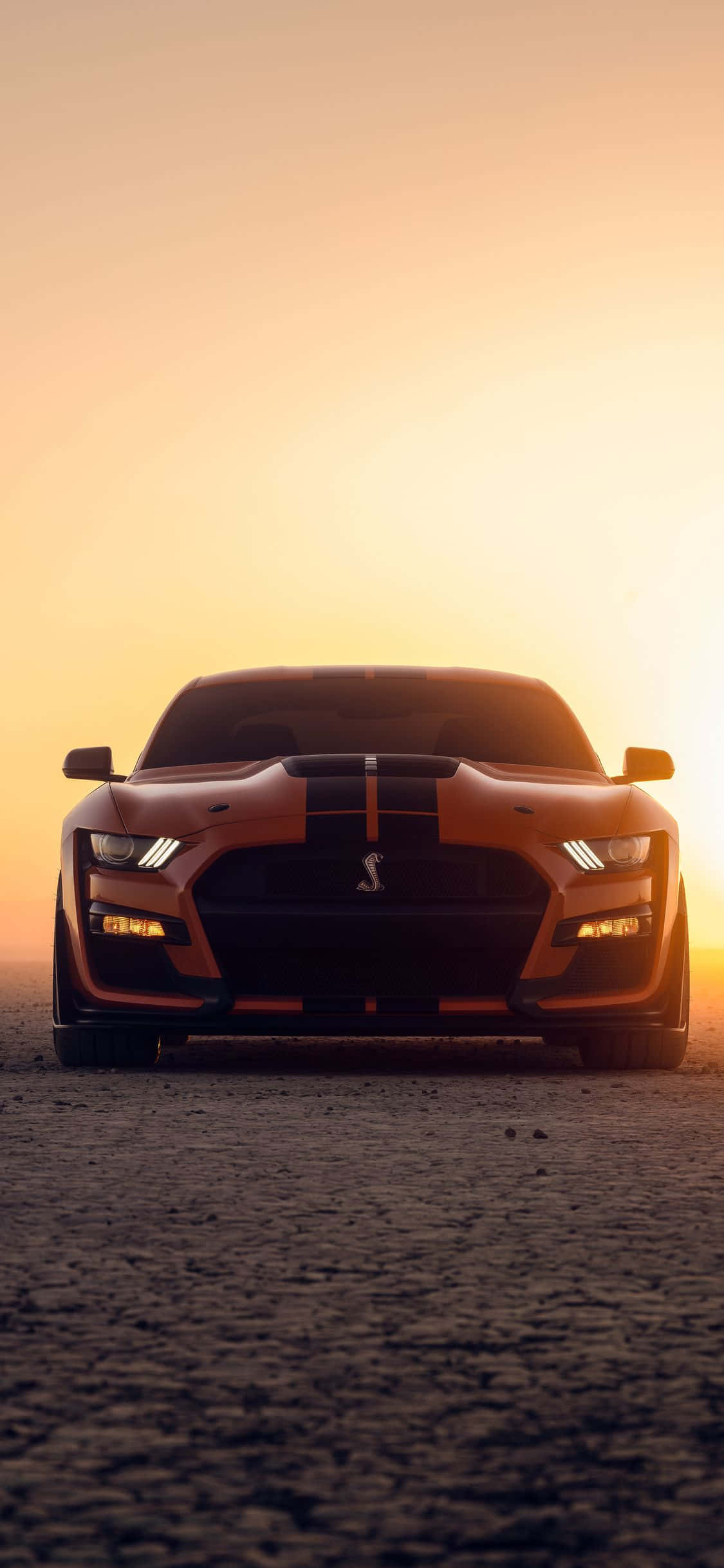 một chiếc ford mustang gt đậu trên sa mạc lúc hoàng hôn Hình nền