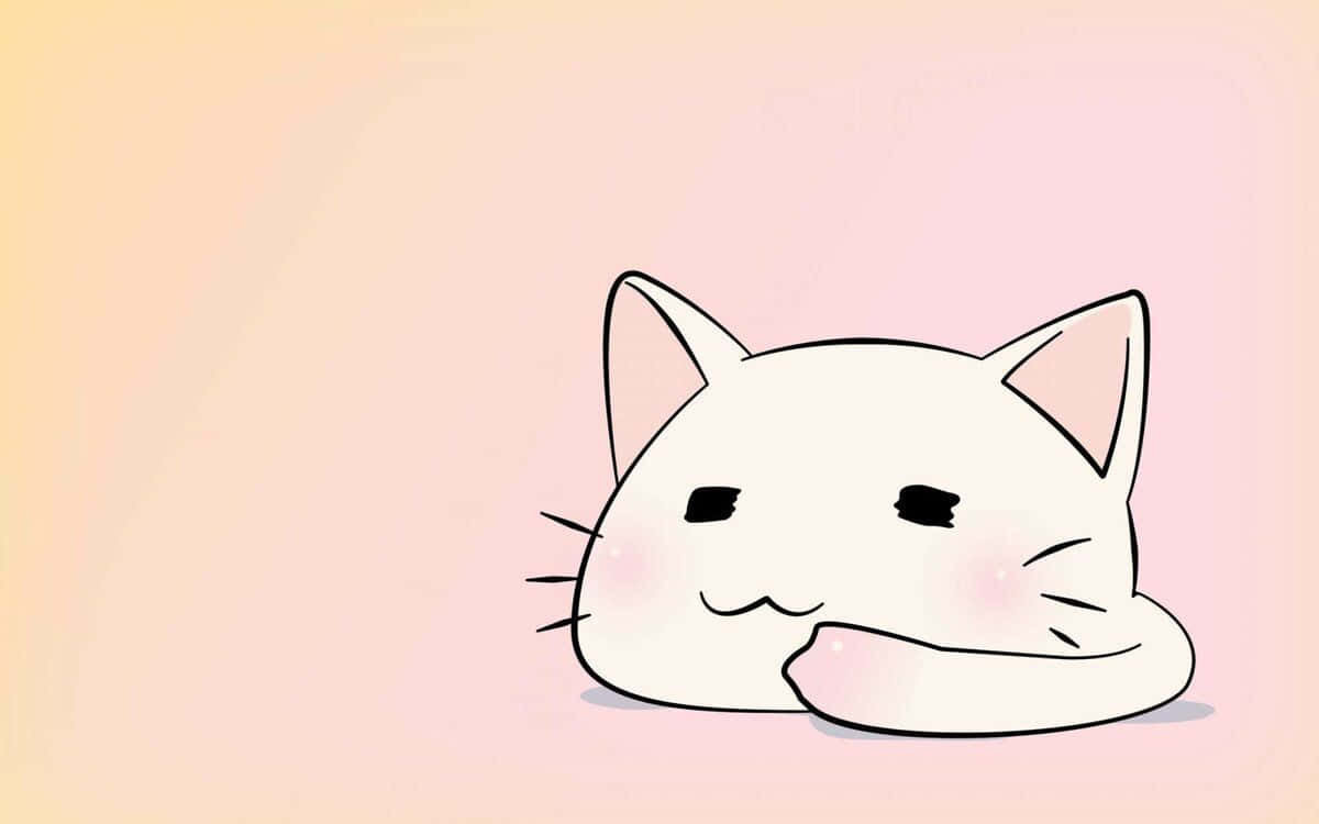 Một chú mèo Anime đáng yêu trong cửa hàng thú cưng Hình nền
